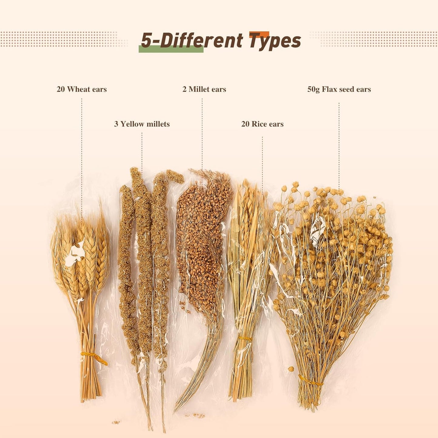 ZIPPYPET Hamster Sprays and Forage Accessories for Cages, Pet Mouse Decor Textures (5)