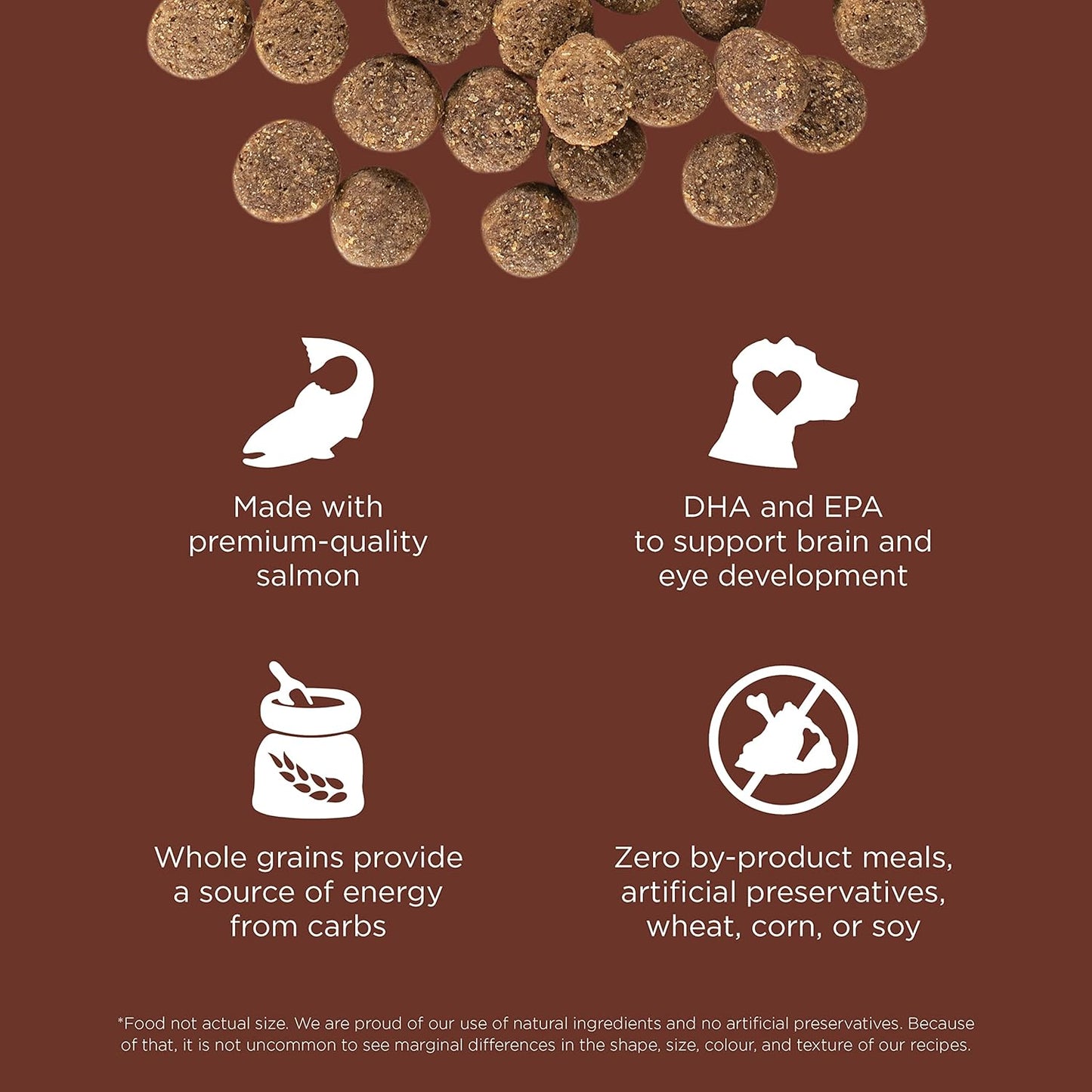 Go! Solutions Skin + Coat Care, Dry Dog Food, Large Breed Puppy Salmon Recipe with Grains, 25 lb Bag