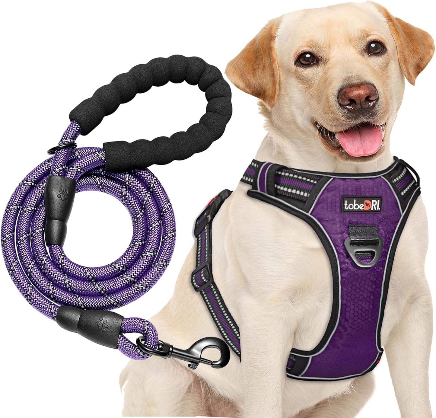 No Pull Dog Harness Adjustable Reflective Oxford Easy Control Medium Large Dog Harness with A Free Heavy Duty 5ft Dog Leash (M (Neck: 14.5"-20.5", Chest: 22"-28"), Purple Harness+Leash)