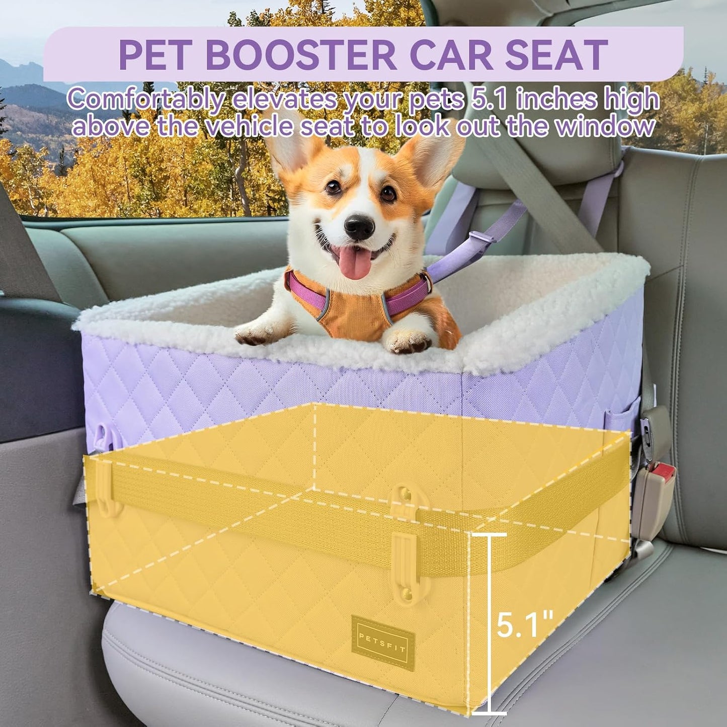 PETSFIT Dog Booster Car Seat, Soft Foam Cat Car Seat with Patented Safety Buckles, Storage Pockets and Detachable Clip-On Safety Leash, Dog Car Seats for Small Dogs Under 30 LBS (Purple)