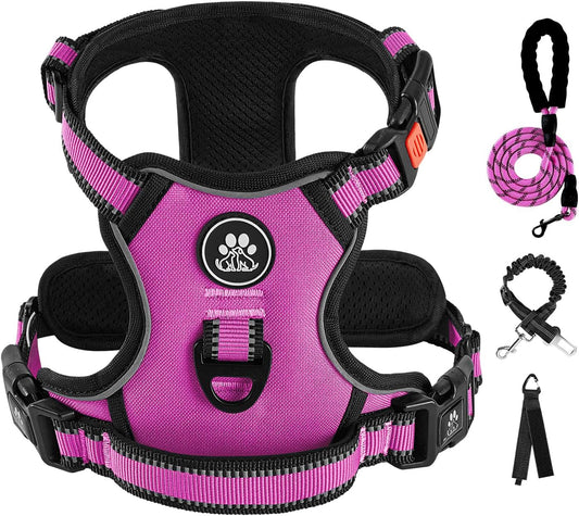 IVY&LANE No Pull Dog Harness for Small Dogs, Dog Vest Harness with Leash, Safety Belt and Storage Strap, Fully Adjustable Harness, 360° Reflective Strip, Soft Handle (Fuchsia Pink,S)