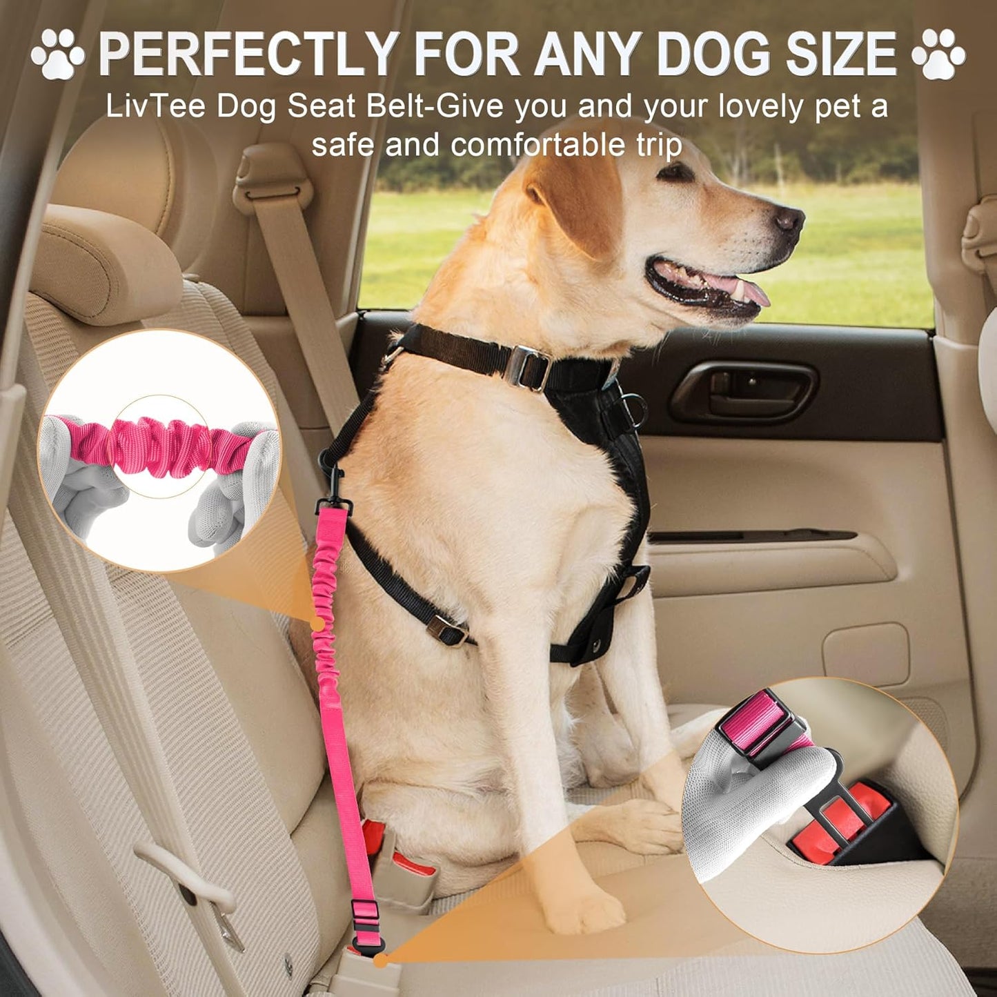 LivTee Dog Seat Belt for Car, Retractable Pet Safety Harness, Adjustable Nylon Dog Seatbelt Leash, Comfortable Dog Accessories for Vehicles (Pink-1PCS)