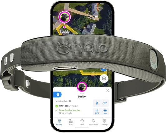Halo Collar 4, All New GPS Wireless Dog Fence & Dog Training Collar with GPS Tracker, Subscription Required, Waterproof, One Size, Graphite
