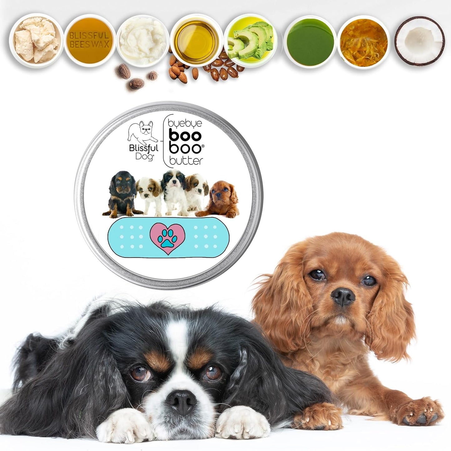 The Blissful Dog Cavalier King Charles Spaniel Boo Boo Butter, 16 oz.