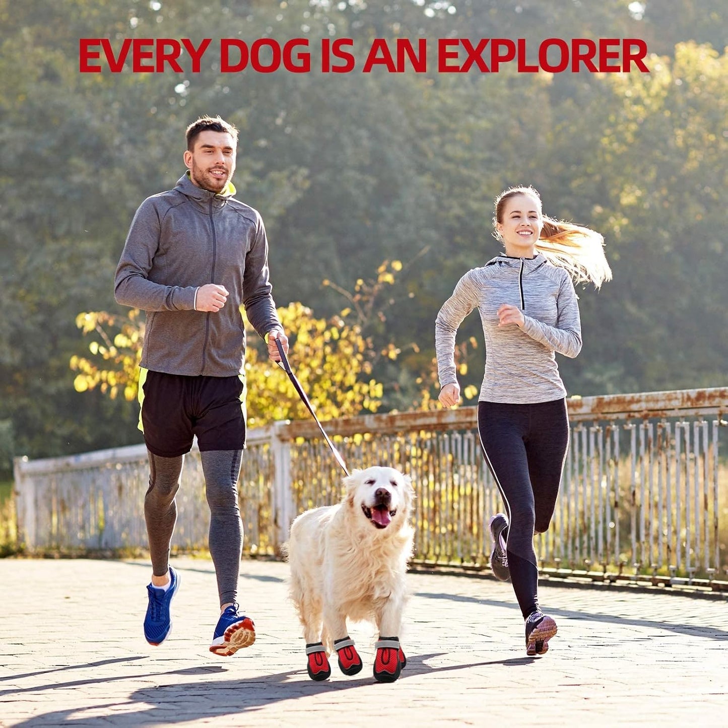 Hcpet Dog Boots for Large Dogs, Dog Shoes for Hot Pavement Winter Snow, Paw Protector Dog Booties Designed for Comfort and Breathability, Outdoor Booties for Small Medium Dogs for Hiking Red Size 6