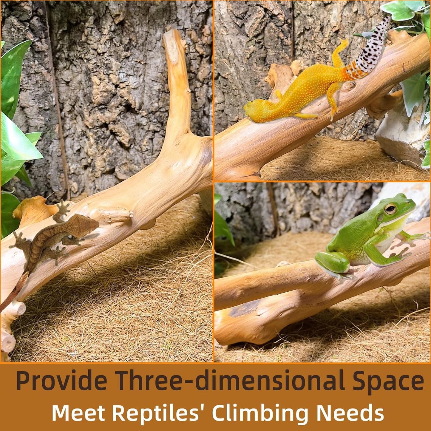 kathson 2PCS Snake Climbing Branch,Reptile Wood Branches Decor, Lizard Natural Polished Wood Climb Accessories,Reptiles Habitat Tank Tree Trunk Decorations for Bearded Dragon Geckos Chameleons Frog