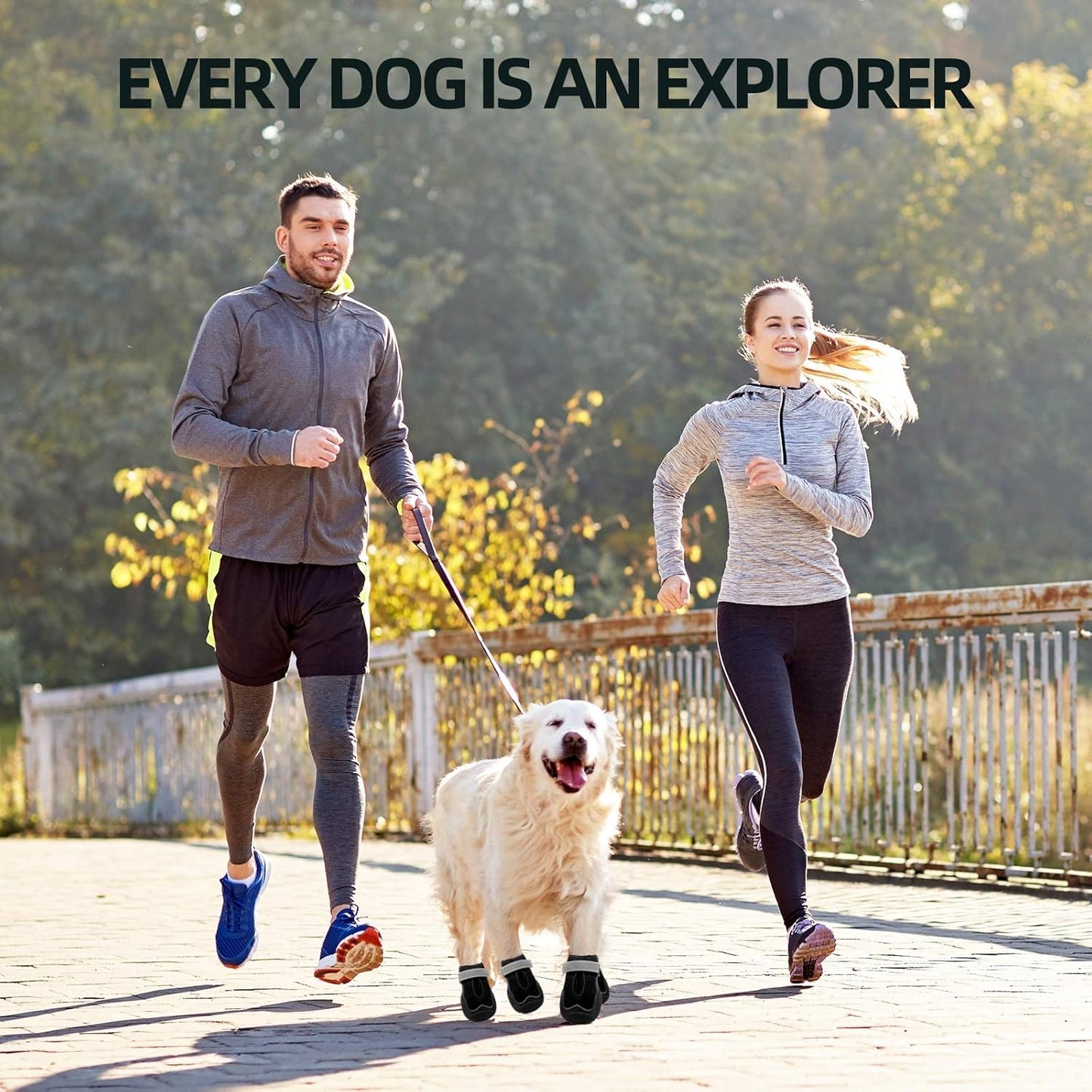 Hcpet Dog Boots for Large Dogs, Dog Shoes for Hot Pavement Winter Snow, Paw Protector Dog Booties Designed for Comfort and Breathability, Outdoor Booties for Small Medium Dogs for Hiking Black Size 5