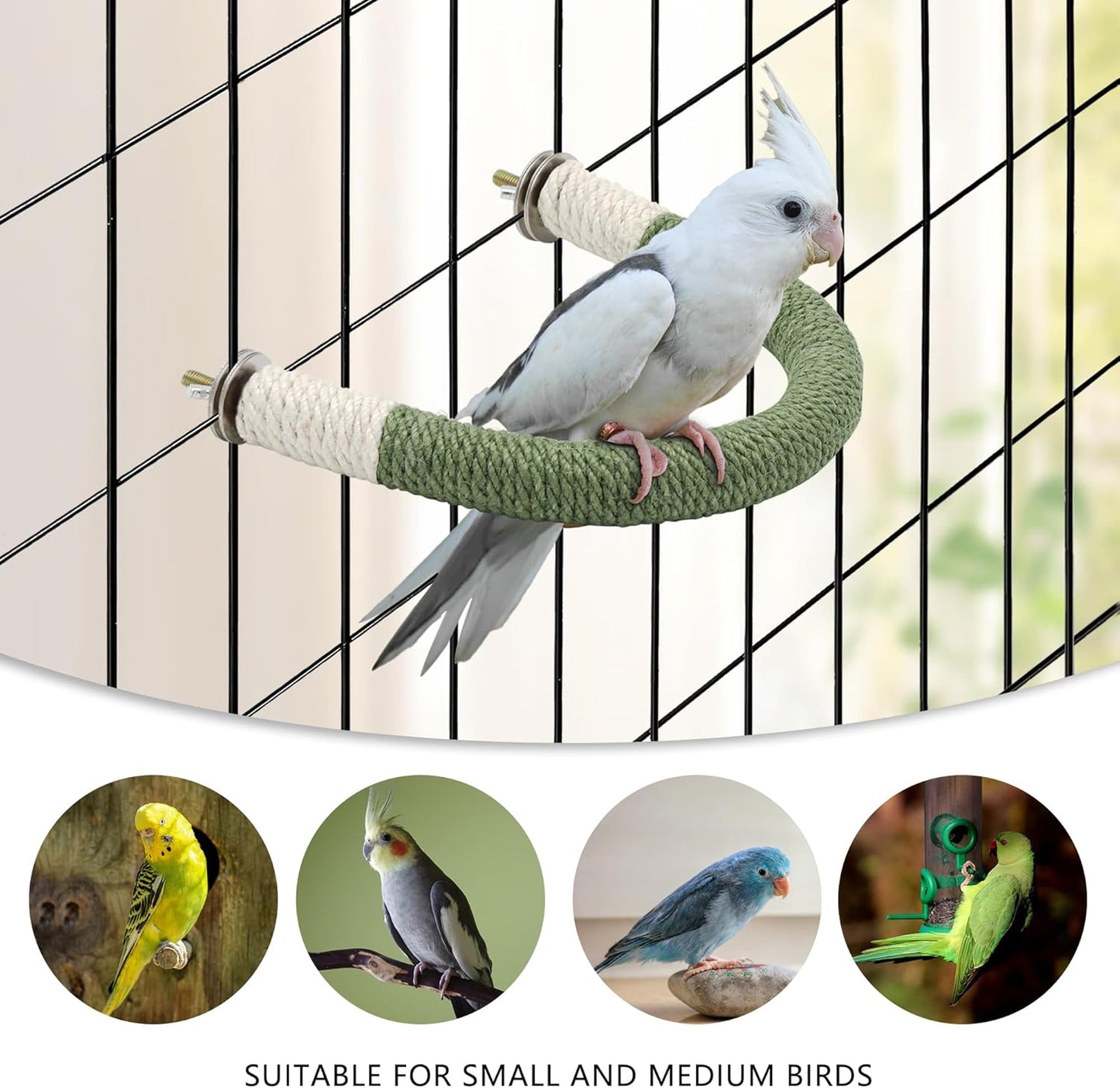 2 Pcs Bird Stand Perch U Shape Hemp Rope Green Wood Parrot Perches for Small Birds,Parakeets Macaw Cockatiels Conures Love Birds Finches,Bird Training Educational Stand Toys (Small-2 Pack)