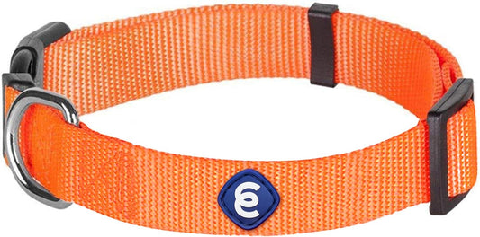 Blueberry Pet Essentials Florence Orange Adjustable Nylon Dog Collar for Large Dogs, Classic Solid Color Pet Safety & Style for Small Dogs