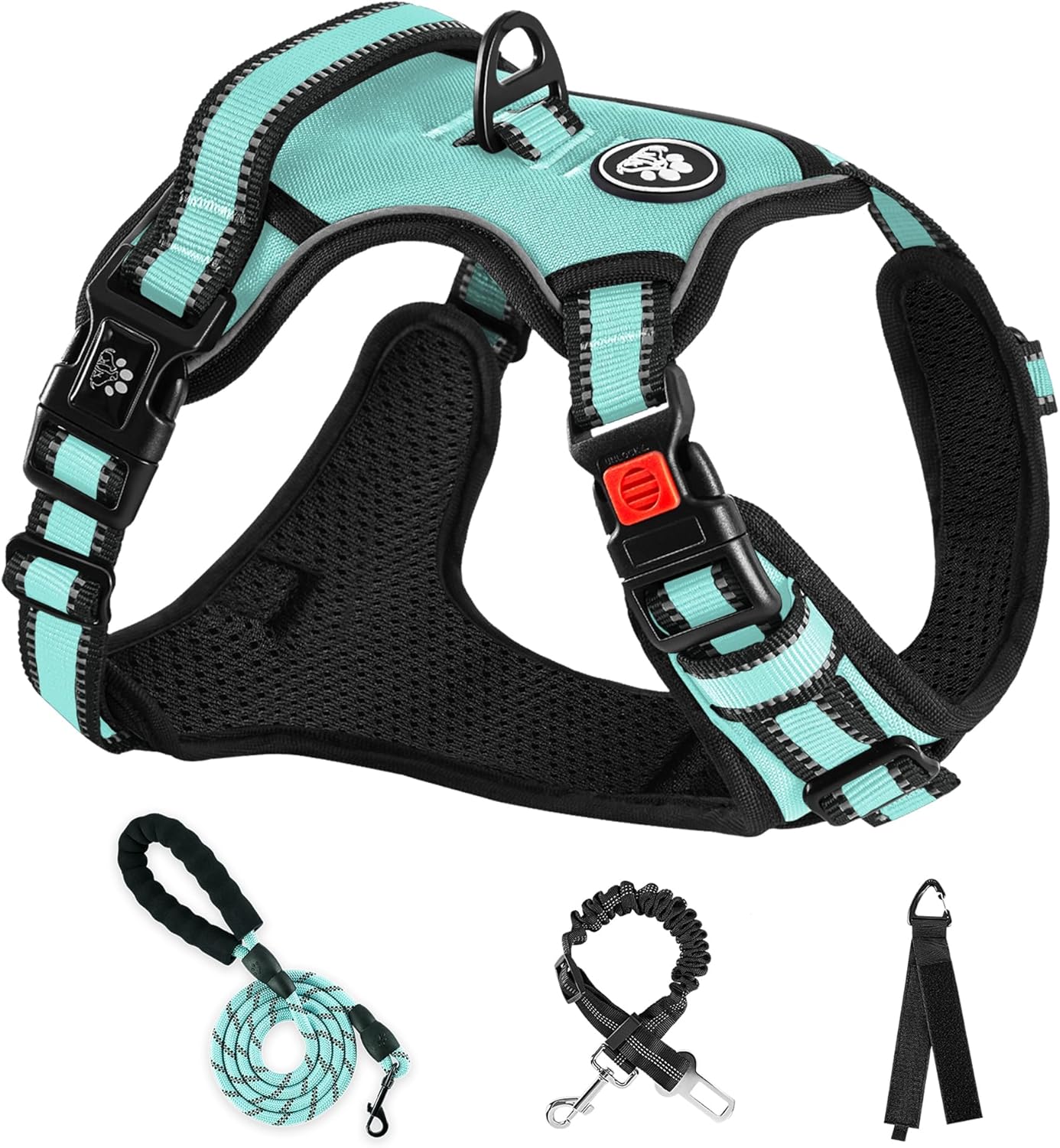 NESTROAD No Pull Dog Harness,Adjustable Oxford Dog Vest Harness with Leash,Reflective No-Choke Pet Harness with Easy Control Soft Handle for Small Dogs(Small,Turquoise)