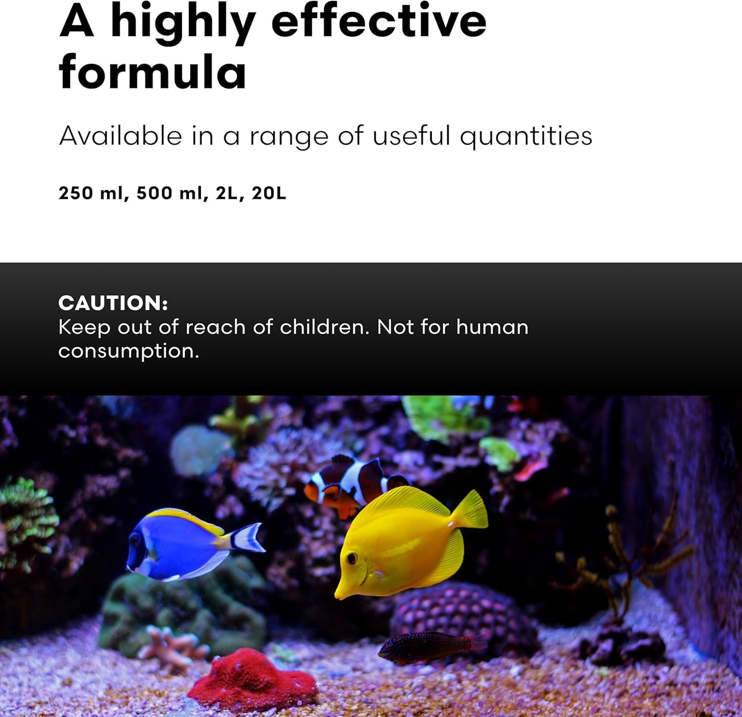 Brightwell Aquatics Ferrion - Concentrated Iron Supplement for Marine Fish and Reef Aquariums 250-ml