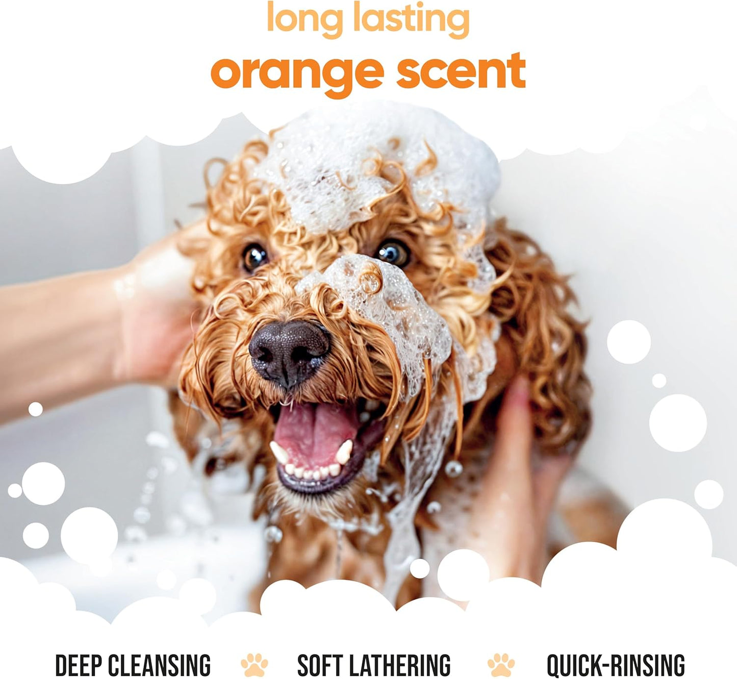 Orange Dog Shampoo by Buddycare | Deep Cleansing Shampoo for Dogs | Orange Scented | with Aloe Vera and Pro Vitamin B5 (16.9oz)