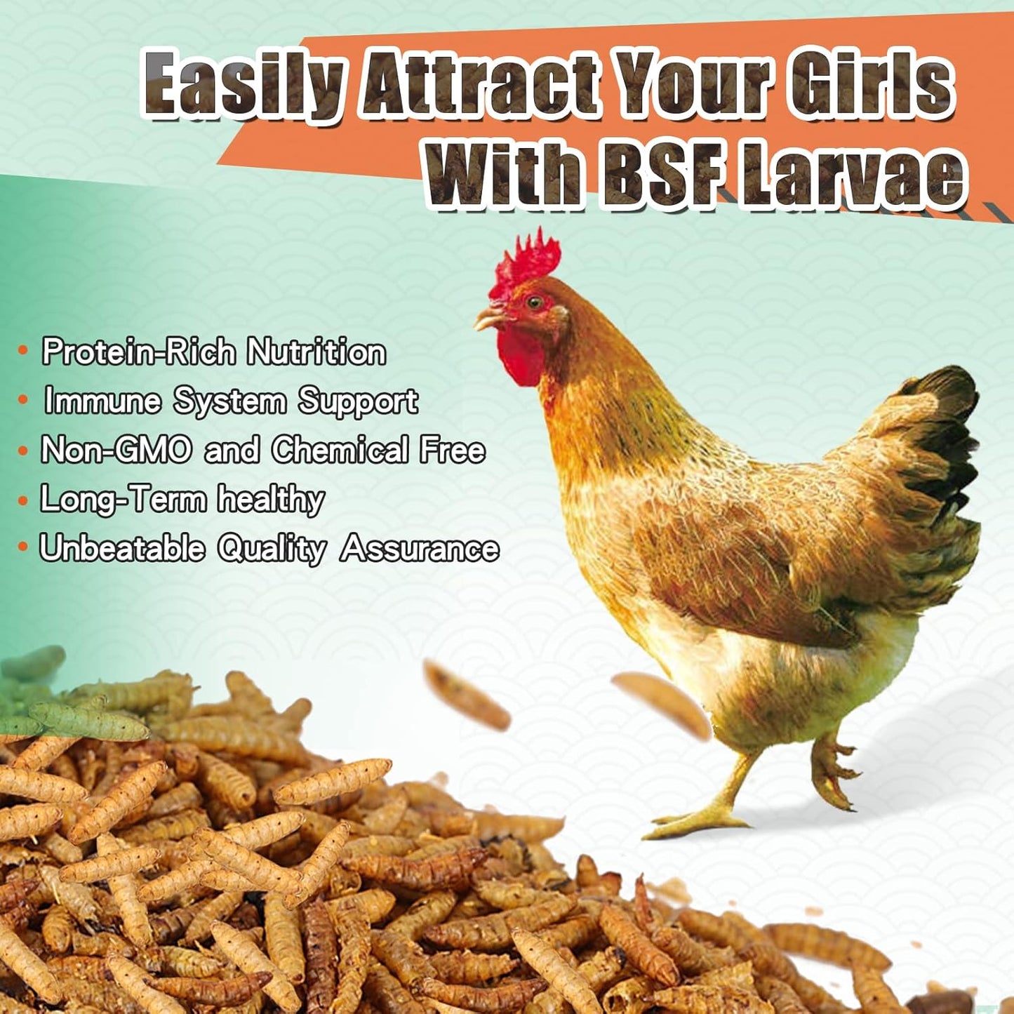 Dried Black Soldier Fly Larvae 10LBS, 85X More Calcium Than Mealworms High-Protein BSF Larvae Chicken Treats Non-GMO BSFL for Chickens, Hens, Ducks, Wild Birds