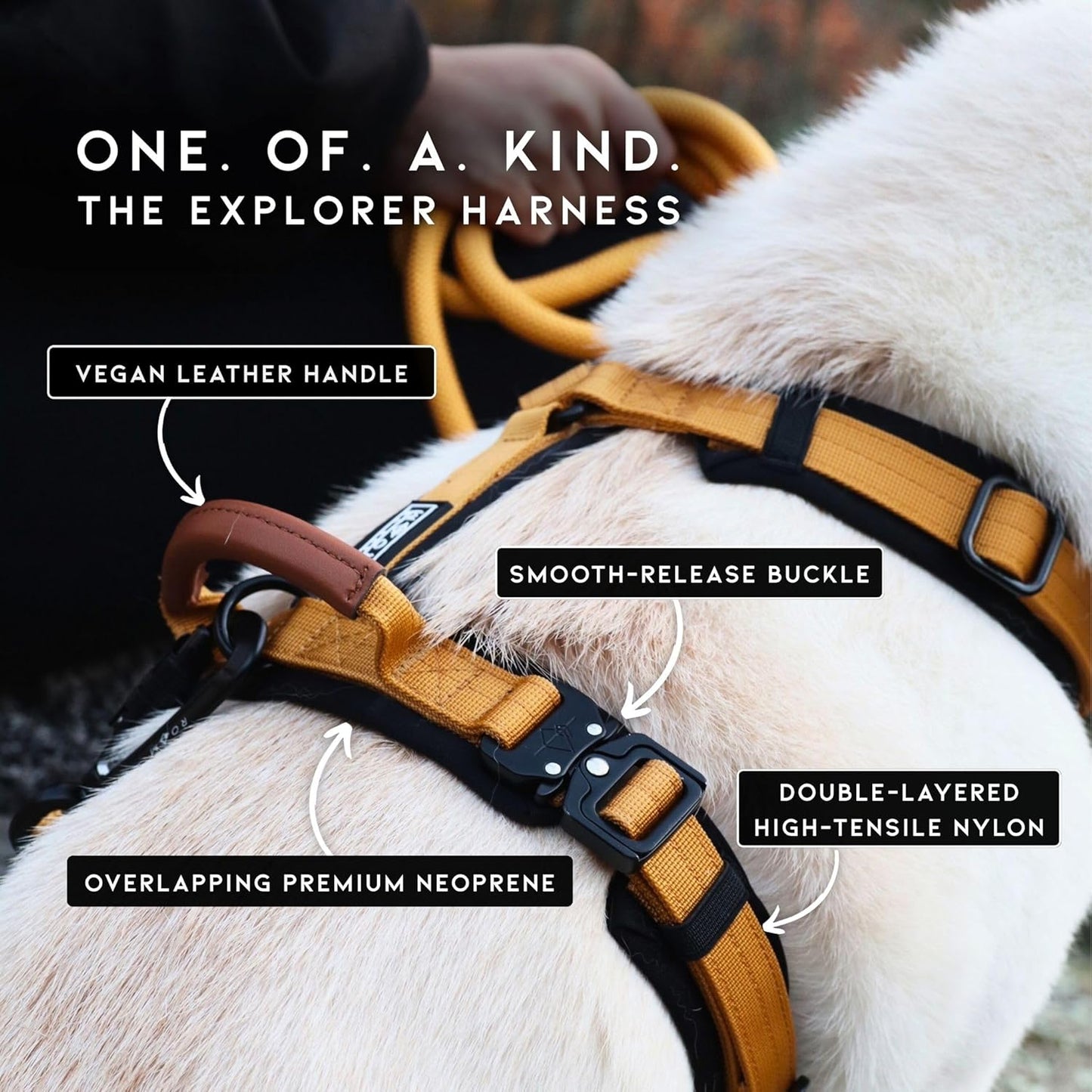 MADE TO ROAM Premium Explorer Harness - Y-Shaped Dog Harness with Adjustable Durable Nylon, Soft Padding, Metal Buckles and Leather Handle for Small, Medium, Large Dogs (New York Afterlight, Size 1)