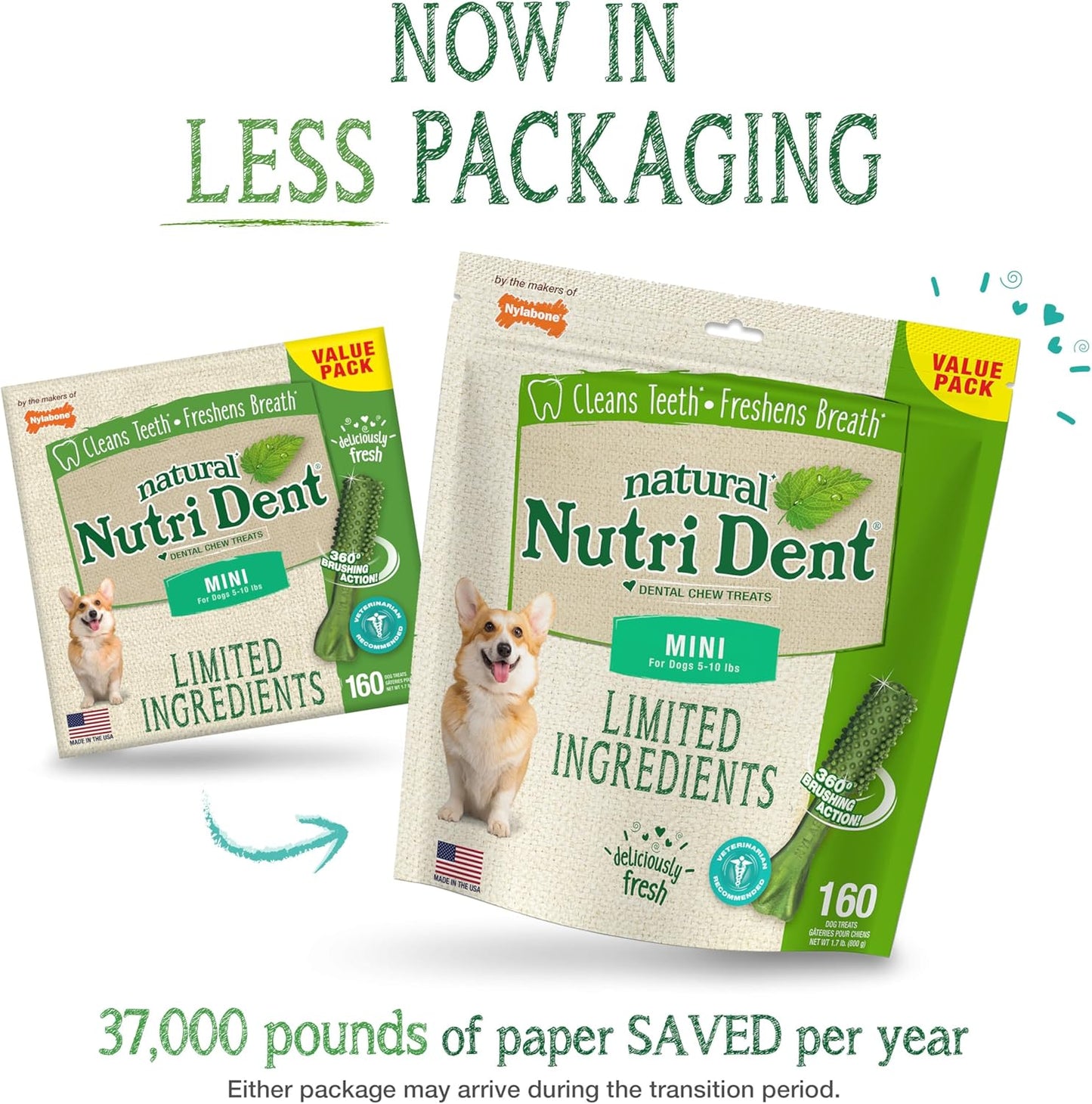 Nylabone Nutri Dent Dog Dental Chews - Natural Dog Teeth Cleaning & Breath Freshener - Dental Treats for Dogs - Fresh Breath Flavor, Mini (160 Count)