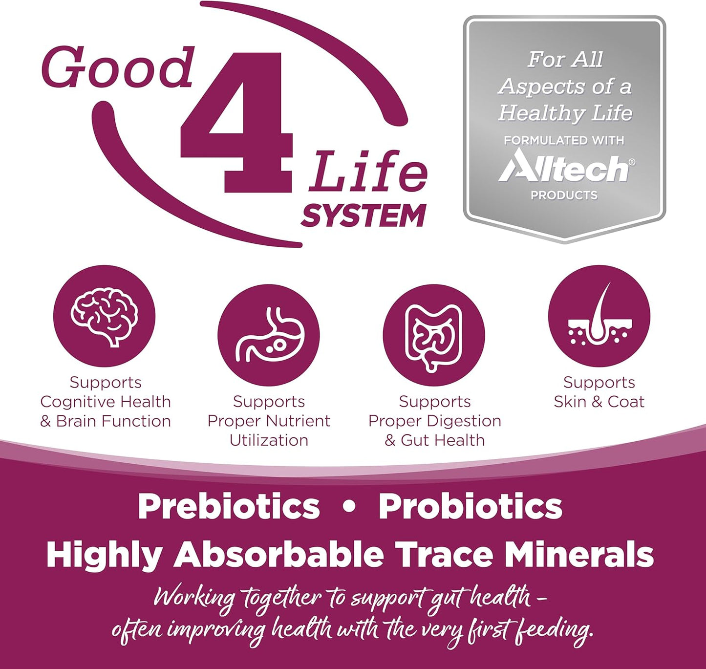 NutriSource Cat & Kitten Food, Chicken & Rice, 12LB