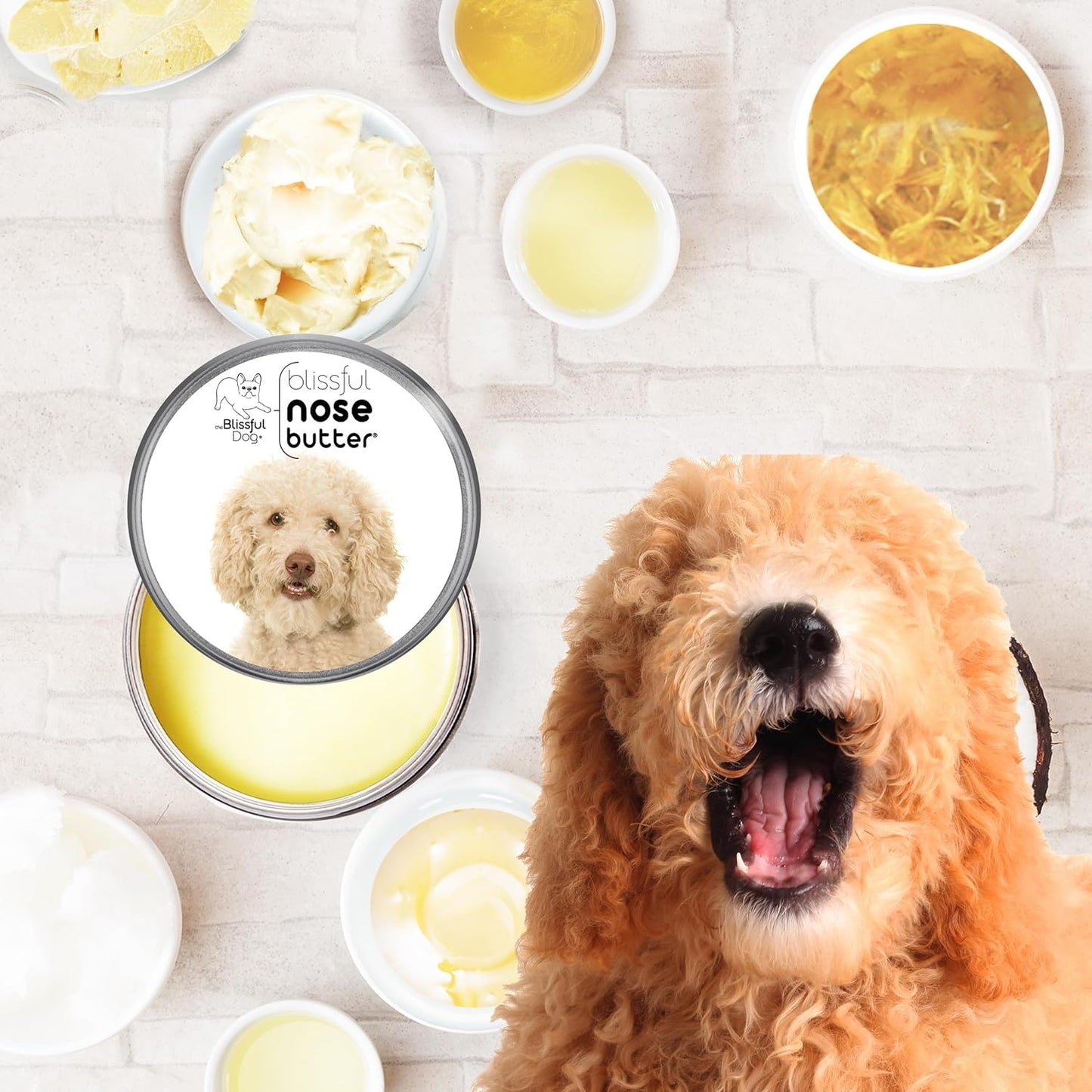 The Blissful Dog Goldendoodle Unscented Nose Butter - Dog Nose Butter, 2 Ounce