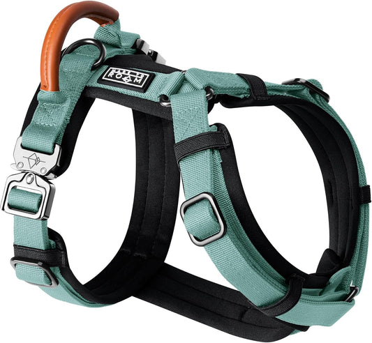 MADE TO ROAM Premium Explorer Harness - Y-Shaped Dog Harness with Adjustable Durable Nylon, Soft Padding, Metal Buckles and Leather Handle for Small, Medium, Large Dogs (Florida Seaside, Size 3)