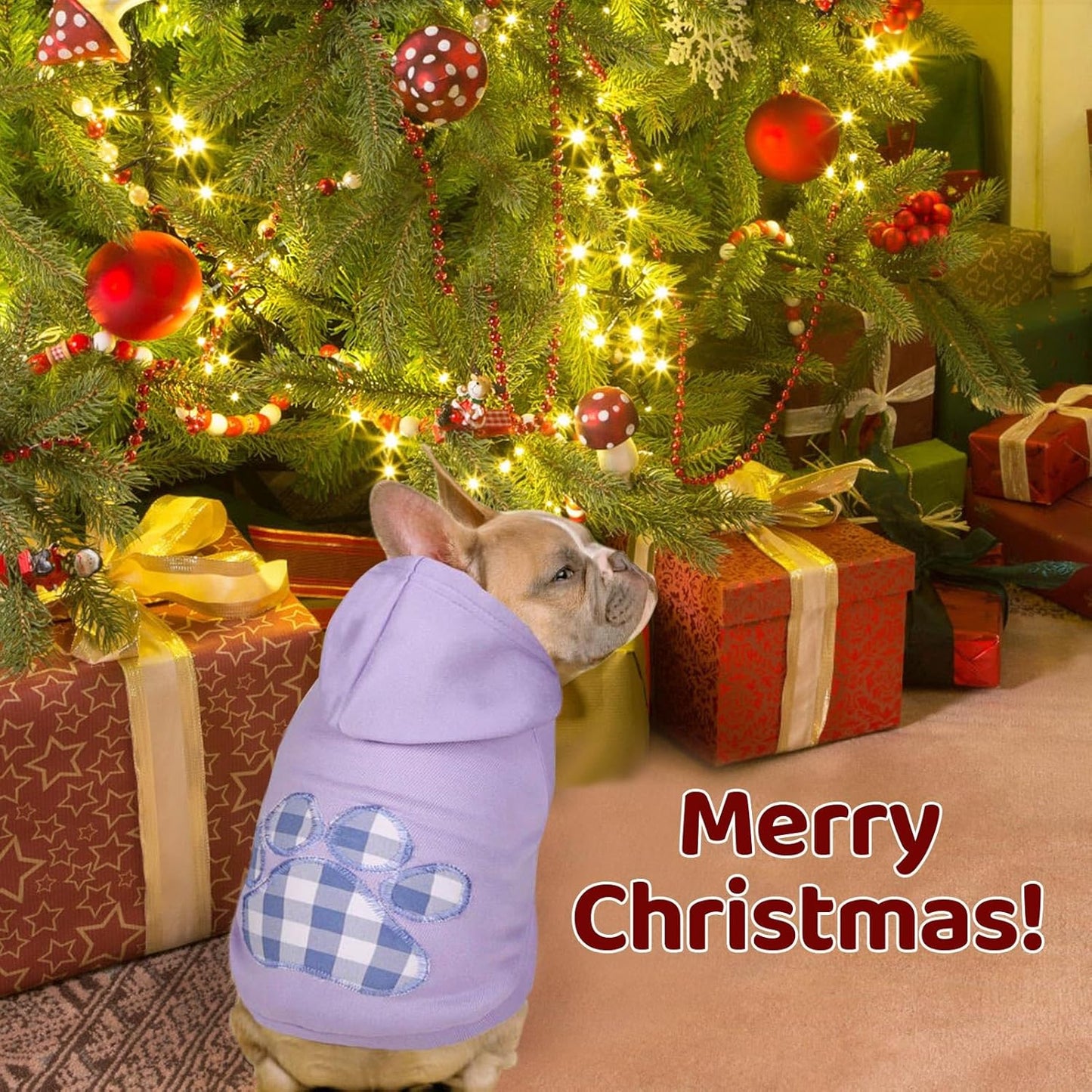 SAWMONG Dog Hoodie,Flannel Pet Hooded Sweater with Hat Puppy Pullover Sweater Shirt,Dog (Purple,2XL)