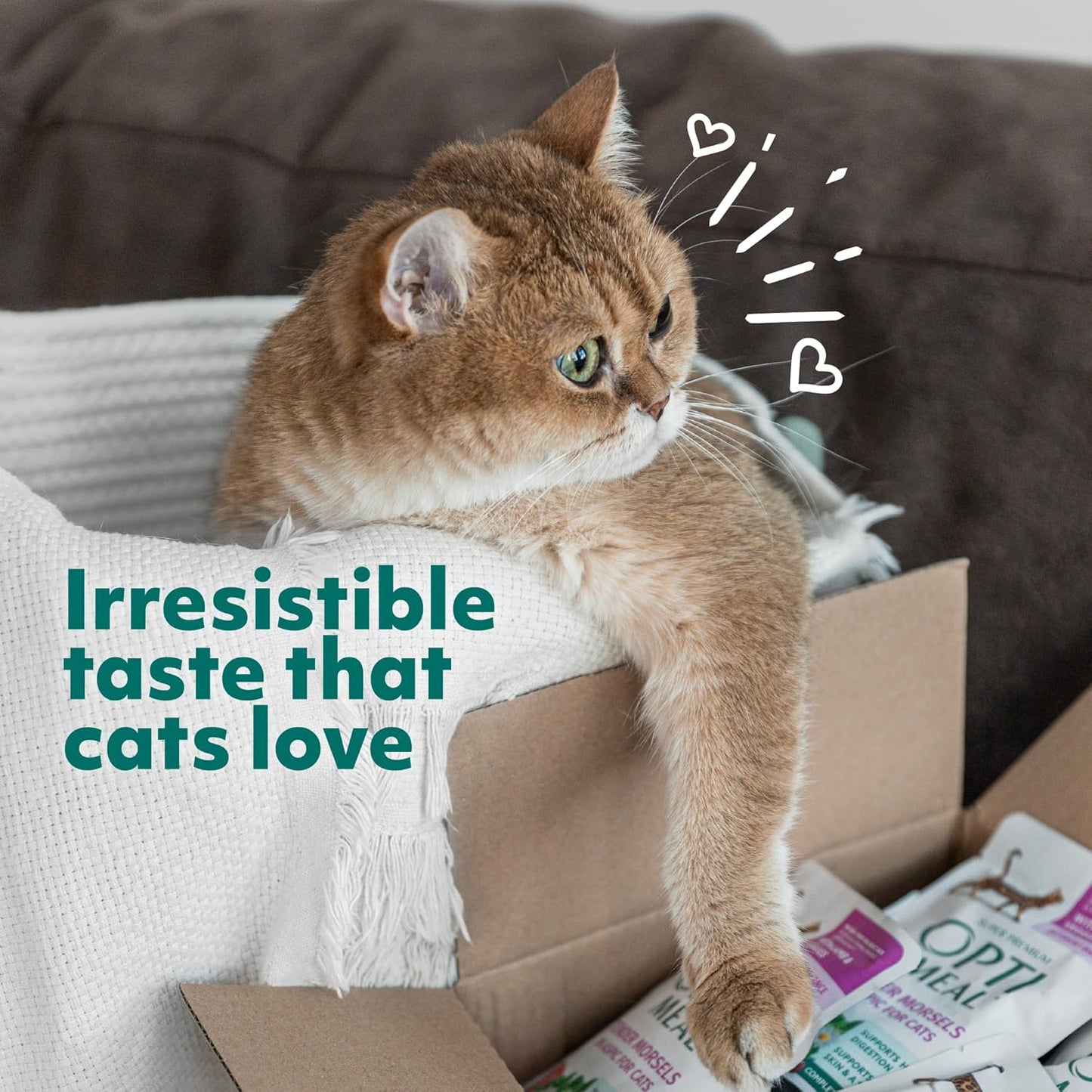 Optimeal Grain-Free Wet Cat Food – Chicken & Turkey Recipe, High Protein & Moisture Rich Indoor Adult Cats Food, Tender Morsels in Savory Gravy Natural Ingredients - 3 oz Pouches, 12 Pack