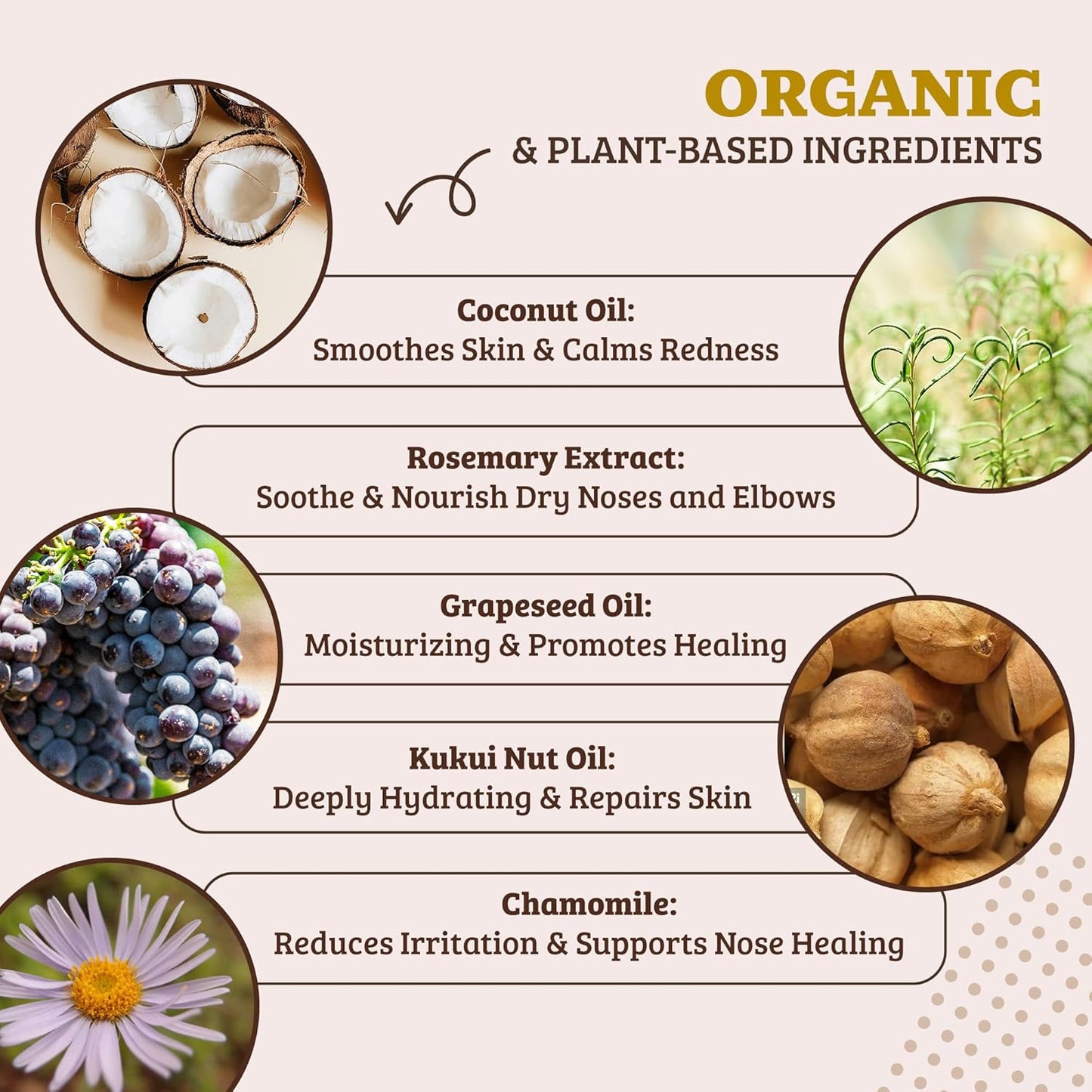 Natural Dog Company Snout Soother, Dog Nose Balm, Wax & Cream for Dry, Cracked Noses, Heals & Moisturizes with Shea Butter & Coconut Oil, Lick-Safe Nose Butter, Made in USA, 1 oz. Tin