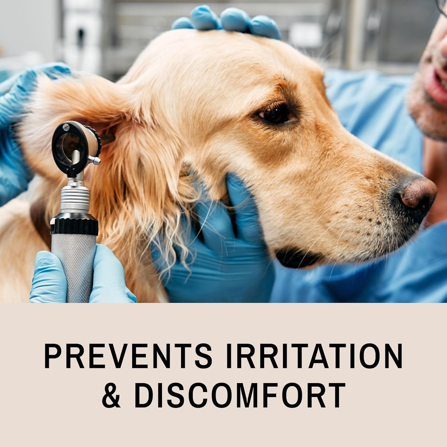 Eye Envy Fresh Ear Cleaning Wipes for Dogs. Made in The USA from Natural Ingredients. Unscented. Prevents Infections. Safe and Non-Irritating. Removes Dirt, Debris, and Wax buildup. 60 Count.