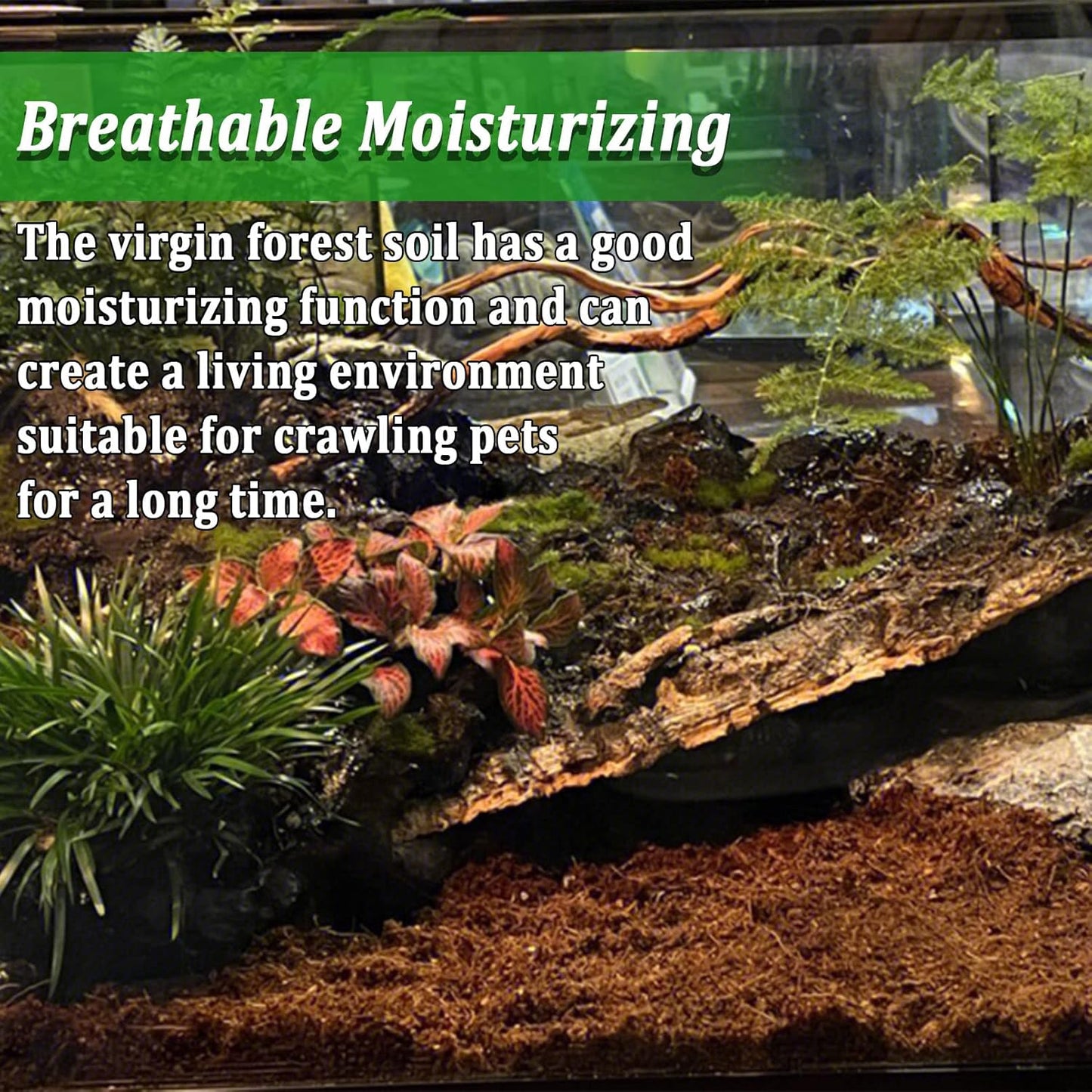 BNOSDM Reptile Soil Substrate Fluffy Small-Strand Reptile Substrate and Snake Bedding Clean Natural Terrarium Bedding for Lizards Snakes Tortoises Tarantulas