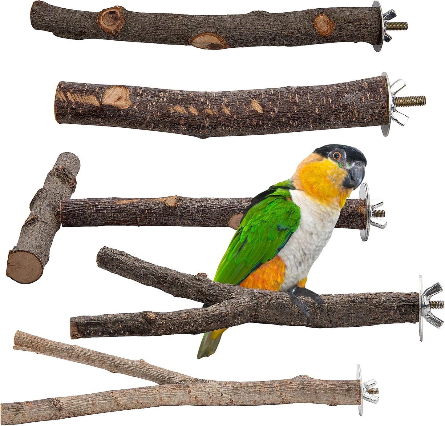 EBaokuup 5PCS Natural Wood Bird Perches for Parrot - Wooden Bird Parrot Stand Branches Parakeet Cage Perch Accessories for Small Birds Budgies Cockatiels Conure Lovebirds