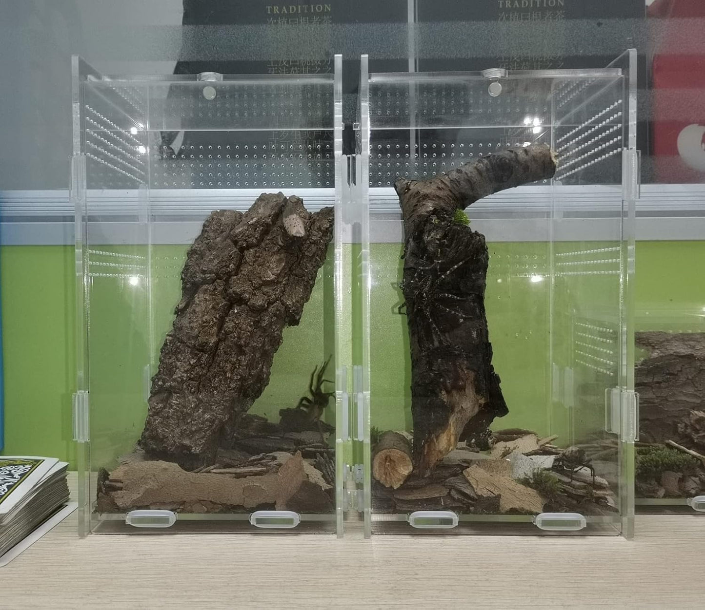 Magnetic Acrylic Case, micro habitat small Tarantula Enclosure enclosure for arboreal Tarantula Scorpion Sling Lizards Mantis Snake Gecko jumping spider snail Insect Isopods (4.7*4.7*7.8 inch)