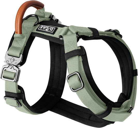 MADE TO ROAM Premium Explorer Harness - Y-Shaped Dog Harness with Adjustable Durable Nylon, Soft Padding, Metal Buckles and Leather Handle for Small, Medium, Large Dogs (Washington Rain, Size 3)