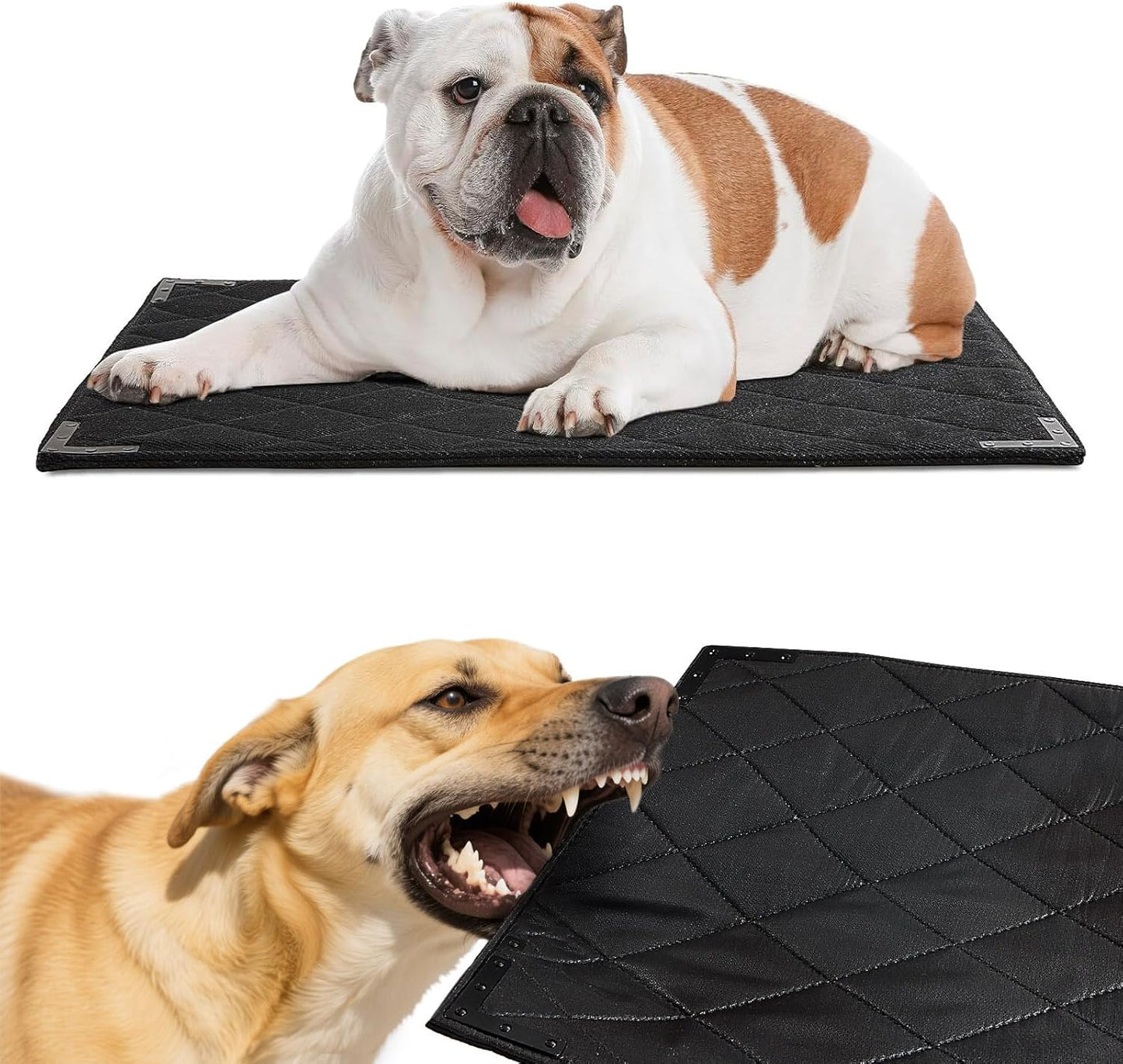 BALAPET XS Durable Chew Proof Dog Bed with Metal Rivet Corner, 23"x17"