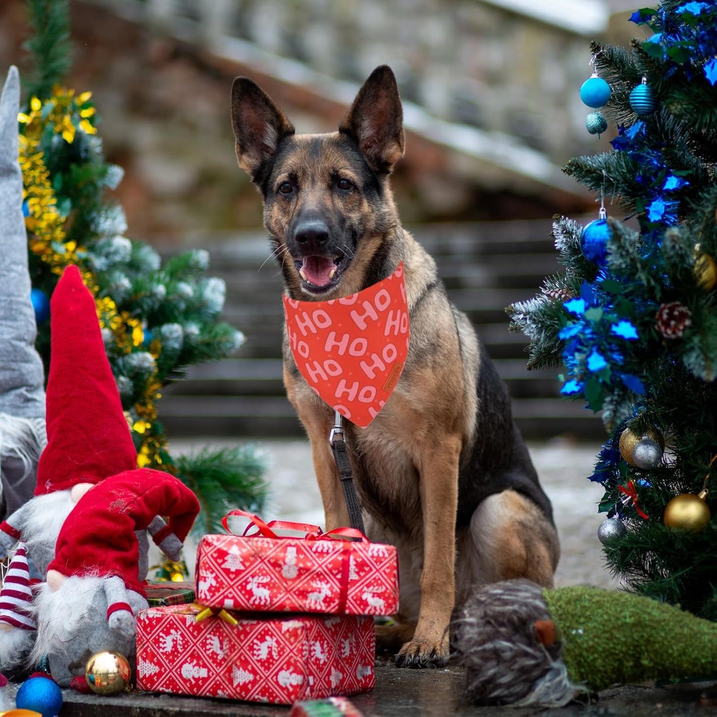 PTDECOR Christmas Dog Bandana, Xmas HOHO Santa Design Reversible Holiday Dog Scarf, Triangle Christmas Bandanas for Large and Extra Large Pets (X-Large)