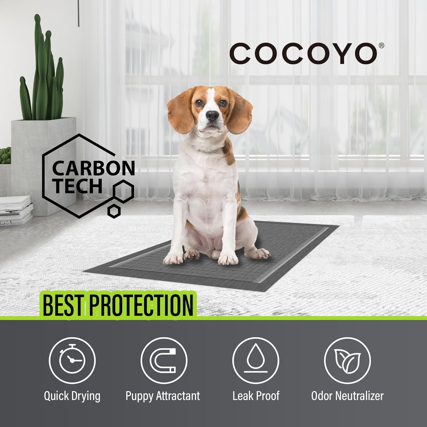 COCOYO Dog Training Pads Giant Size丨Carbon Absorb Eliminating Urine Odor Puppy Pads 丨 Premium Charcoal Dog Pee Pads (30 Count, XXXL 30x45 inch)