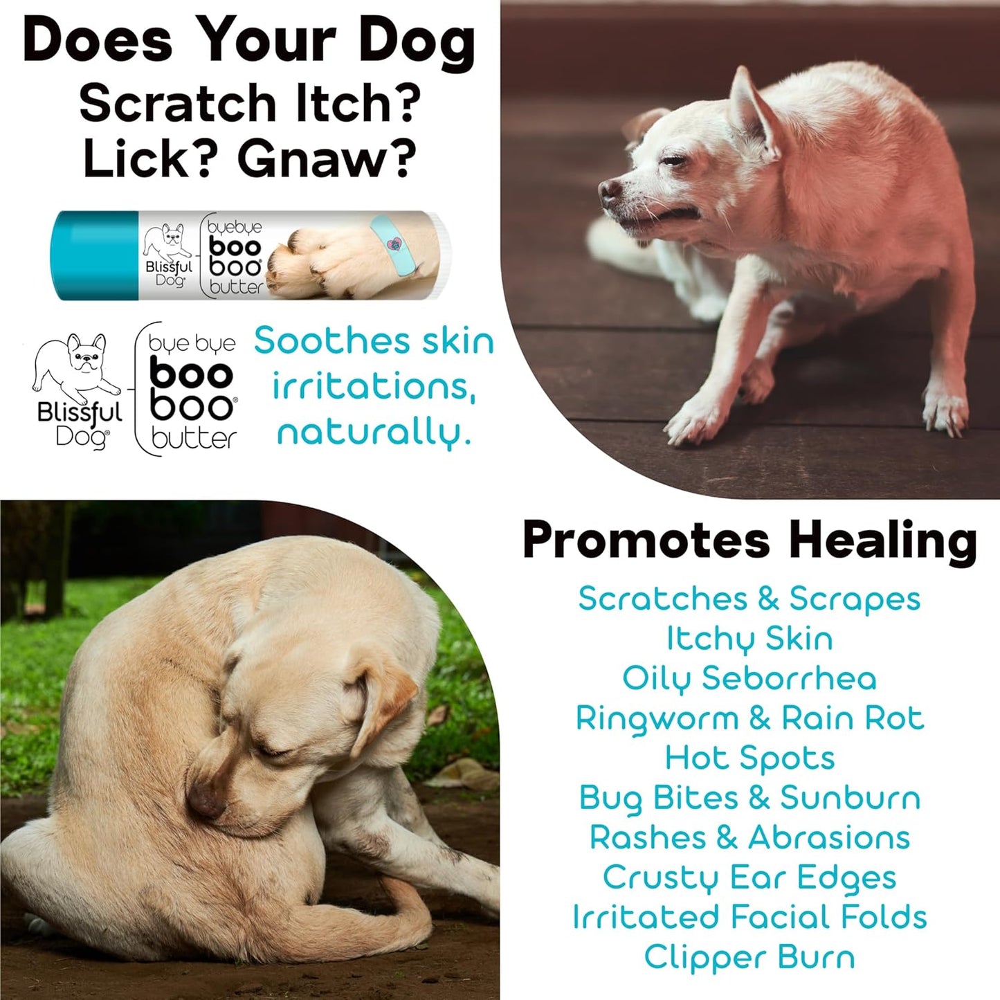 The Blissful Dog 4 oz Tin French Bulldog Booboo Butter