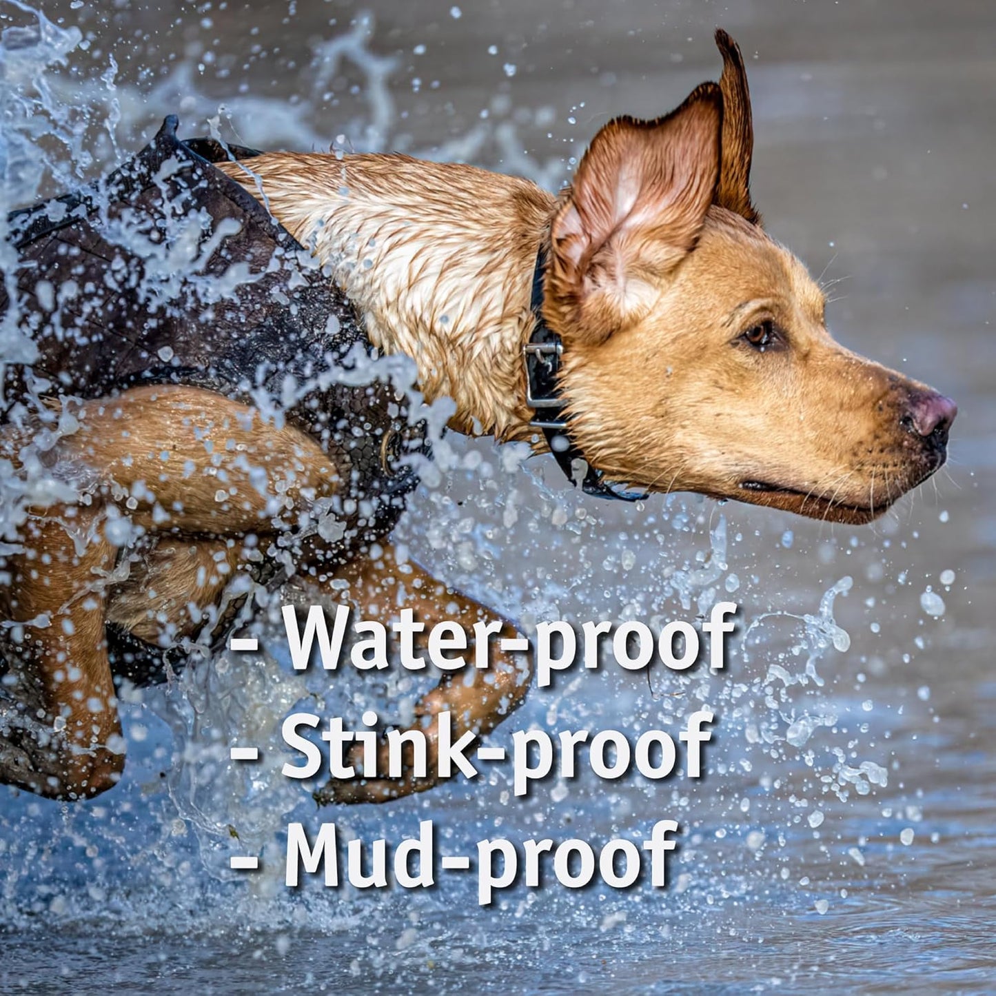 Biothane Custom Dog Collar – Waterproof, Stink-Proof Personalized Collar with Name & Phone Number – Durable, Many Sizes and Colors – Assembled in USA (Forest Green)