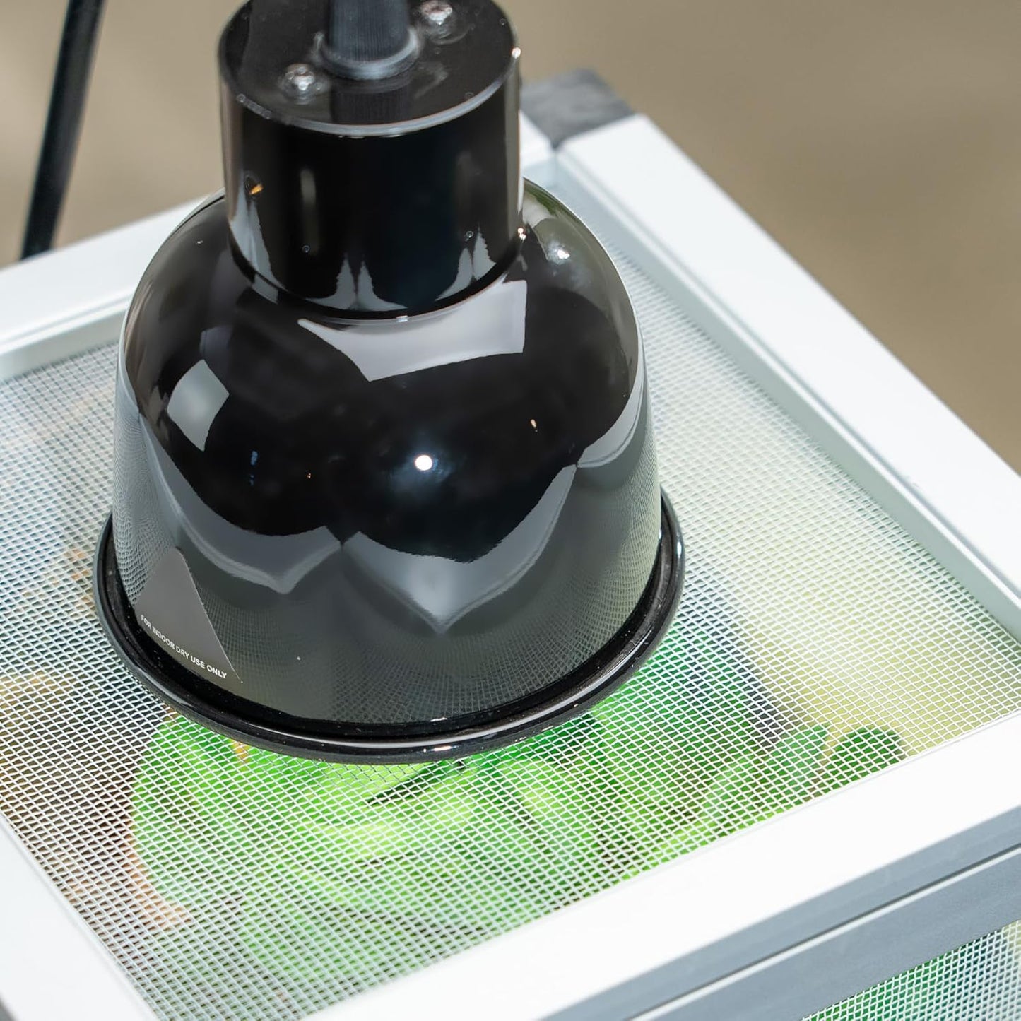 Small Reptile Cage 8" x 8" x 12", Hatching Habitat, Dual Doors, Screen & Acrylic Ventilation, Easy Assembly, for Lizards, Frogs, Geckos