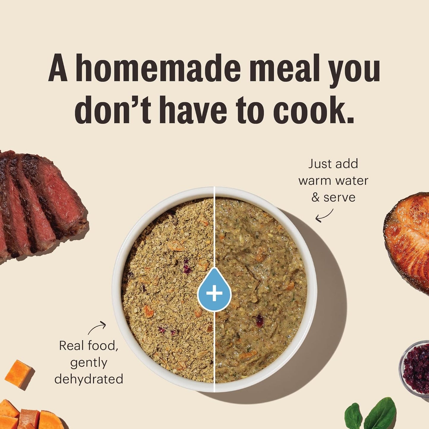 The Honest Kitchen Wholemade™ Limited Ingredient Turkey Dog Food, 10 lb Box