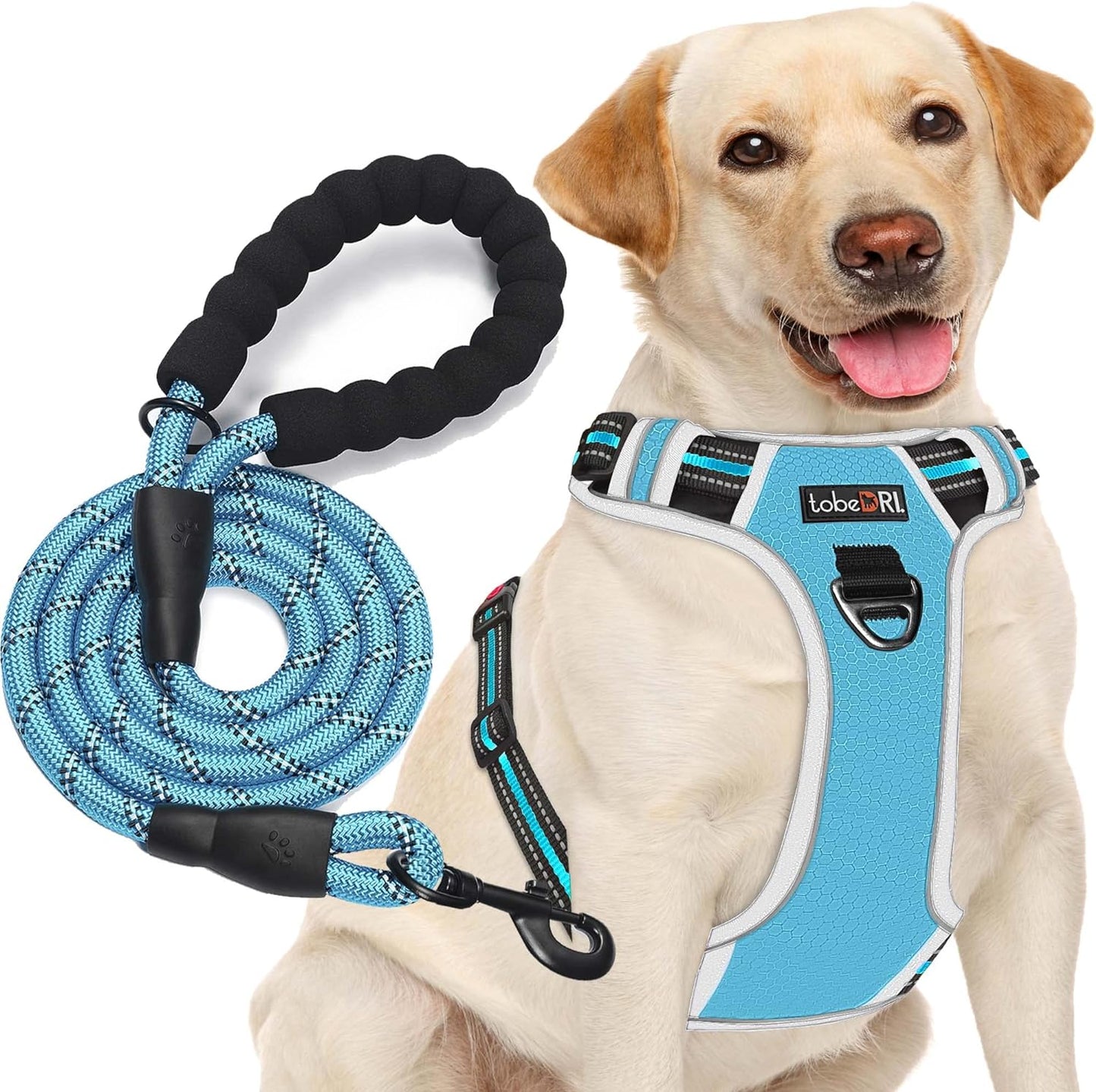 No Pull Dog Harness Adjustable Reflective Oxford Easy Control Medium Large Dog Harness with A Free Heavy Duty 5ft Leash