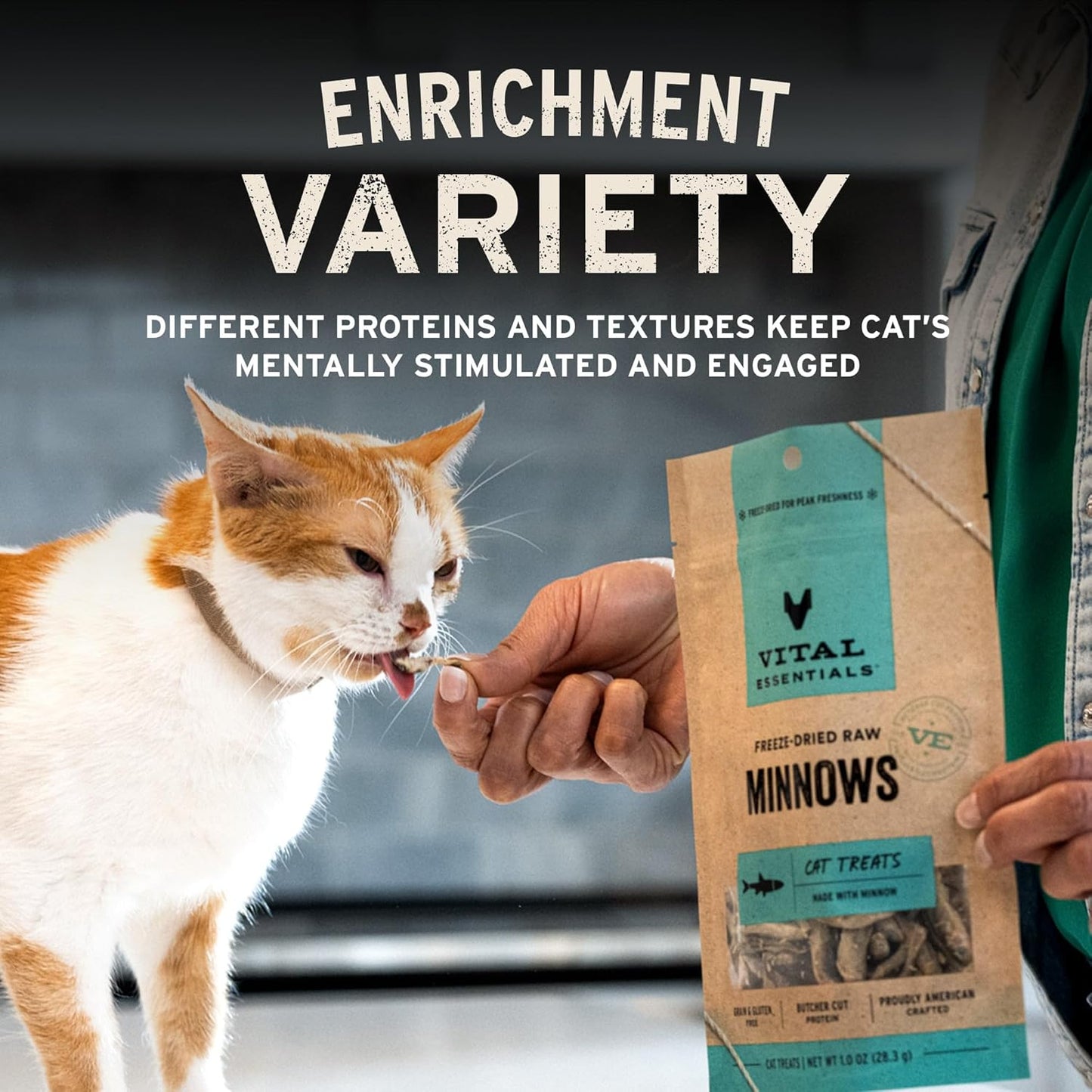 Vital Essentials Chicken Breast Cat Treats, 1 oz | Freeze-Dried Raw | Single Ingredient | Grain Free, Gluten Free, Filler Free