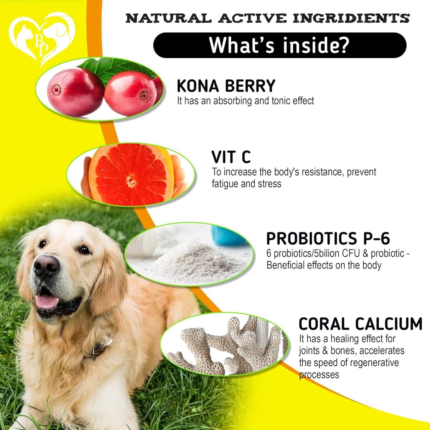 Dog Anti Itch & Allergy Relief Chews - Dry Itchy Skin & Hot Spot Treatment with Probiotic, Omega 3 Oil- Immune Supplement & Seasonal Allergies Medicine for Dogs, Puppy