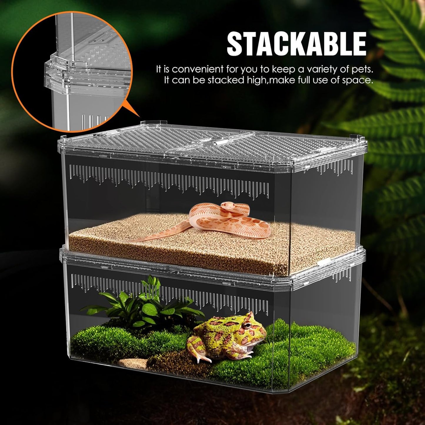 Breathable and Secure Reptile Tank with high Transparency - Ideal Container House for Hermit Crab, Tarantula Enclosure, Turtle Tank or Jumping Spider Habitat (M)