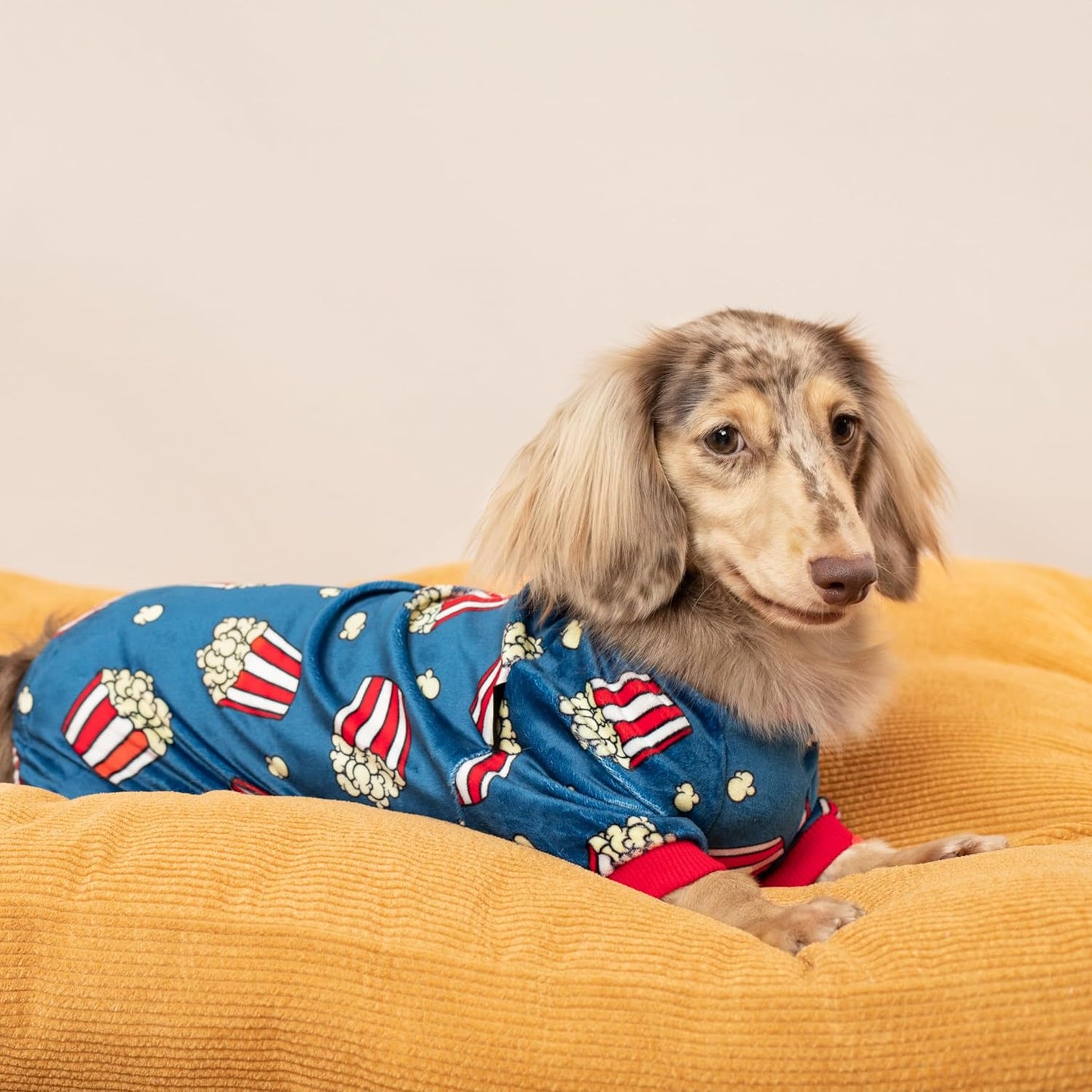 Fitwarm Popcorn Dog Pajamas, Funny Dog Clothes for Small Dogs Boy Girl, Fleece Pet Onesie with Feet, Blue, Red, White, Yellow, Large