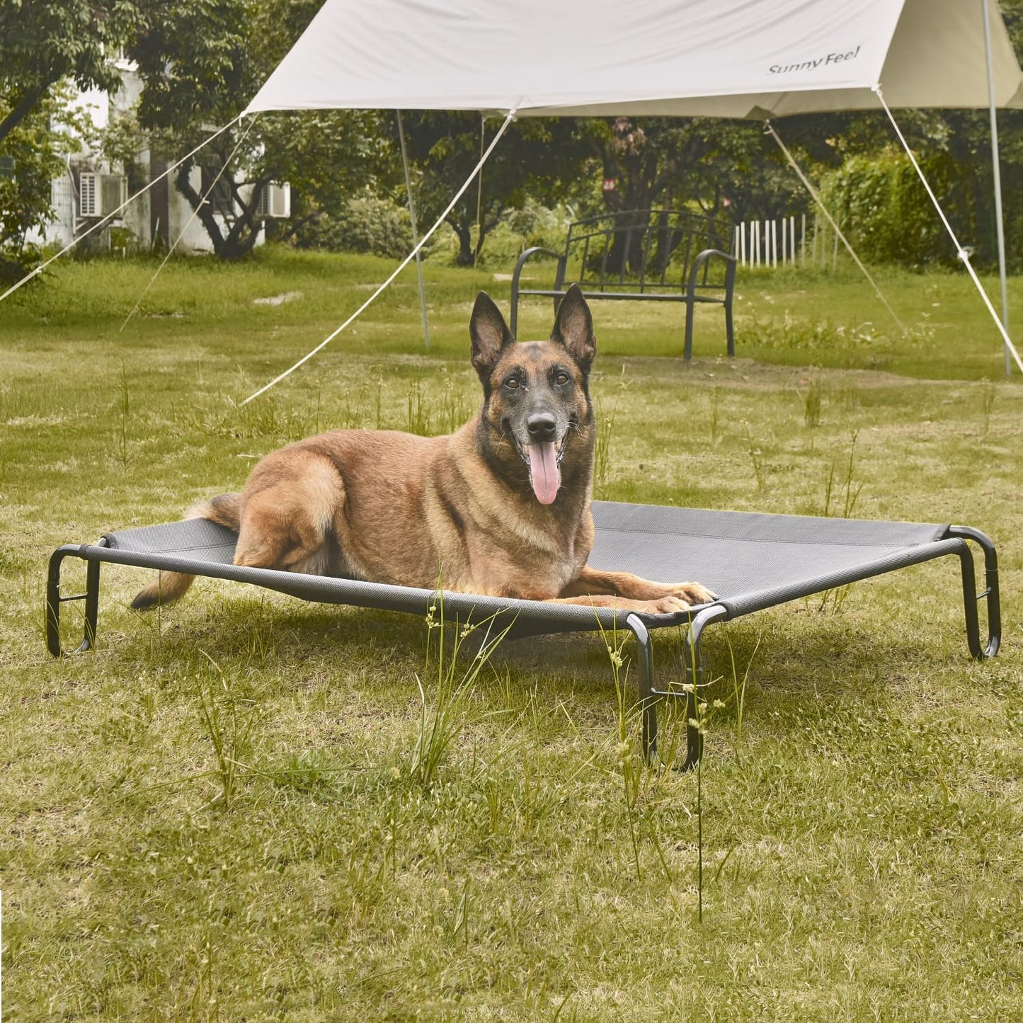 pettycare Elevated Outdoor Dog Bed - Raised Dog Bed for Large Dogs, Waterproof Dog Cot Bed Easy to Assemble, Cooling Elevated Dog Bed with Breathable Teslin Mesh, Durable, Non Slip, Up to 65 lbs,Grey