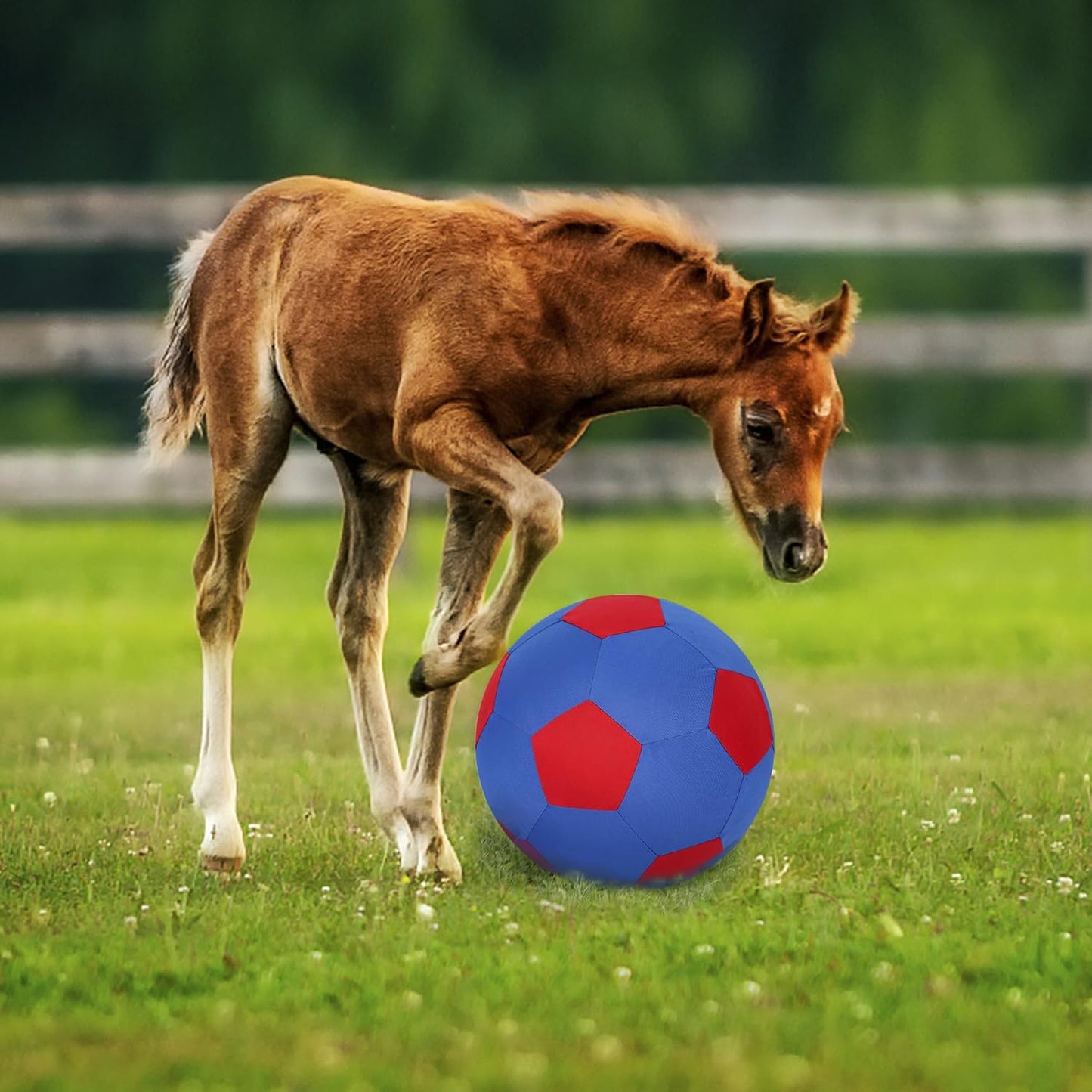 Herding Ball for Dogs Horse Ball & Cover 25" for Horses Large with Hand Pump for Play, Blue and Red