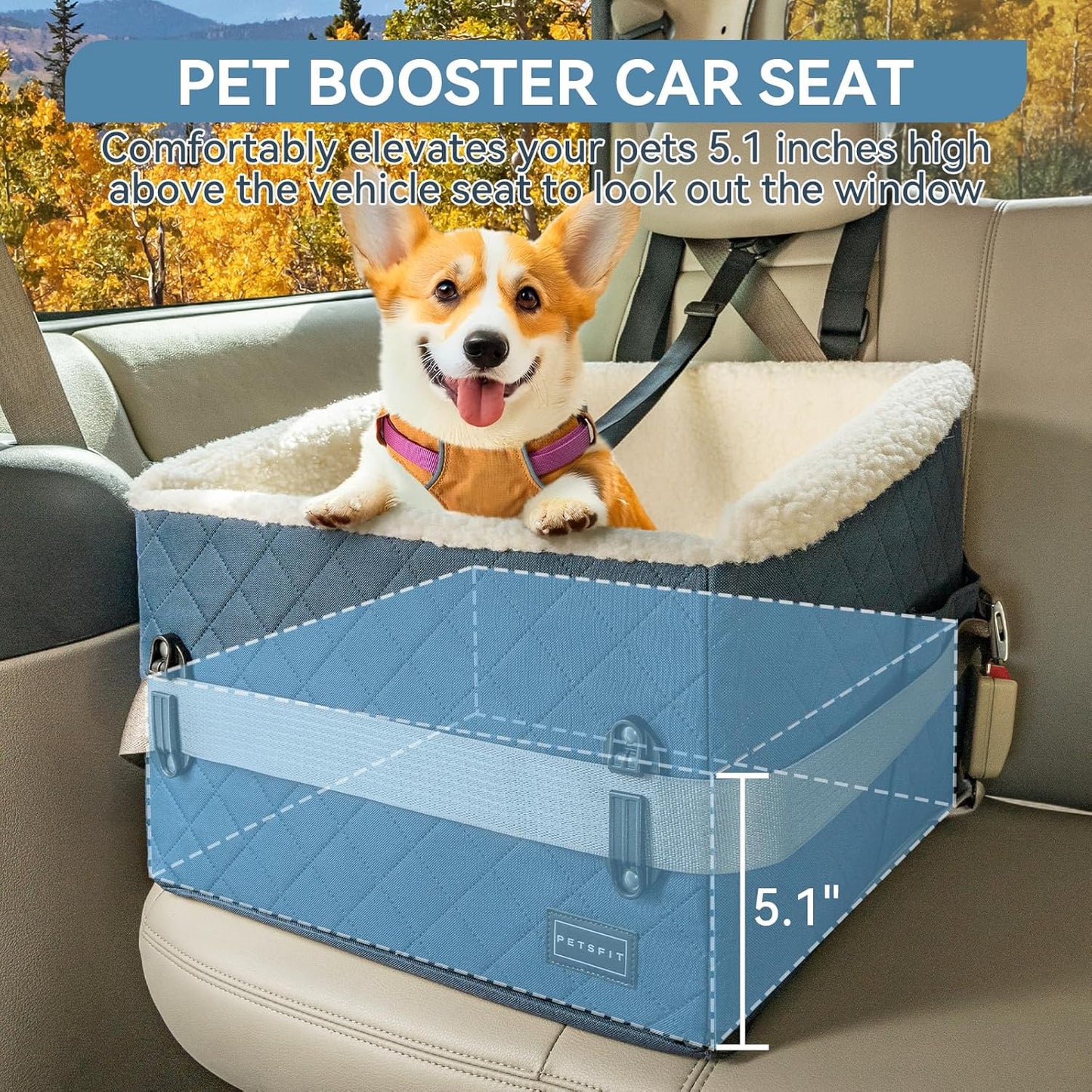 PETSFIT Pet Car Seat for Small Dogs, Soft Foam Dog Booster Car Seat with Patented Safety Buckles, Storage Pockets and Detachable Clip-On Safety Leash, Dog Carseat for Small Dogs Under 30 LBS (Blue)