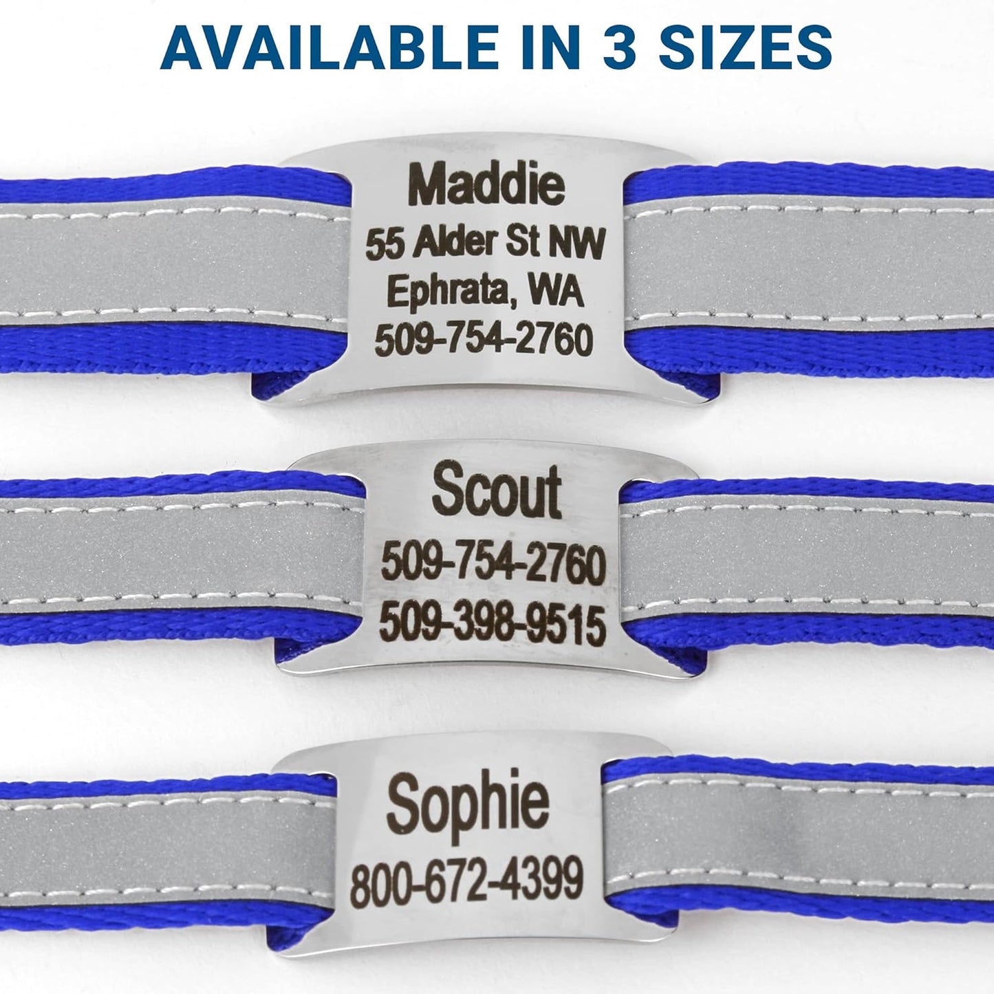 GoTags Reflective Personalized Dog Collar with Nameplate, Adjustable Dog Collar with Custom Engraved Steel Slide On Pet ID Tag, Silent, No Noise Dog Tag for Large Medium or Small (Blue, Medium)