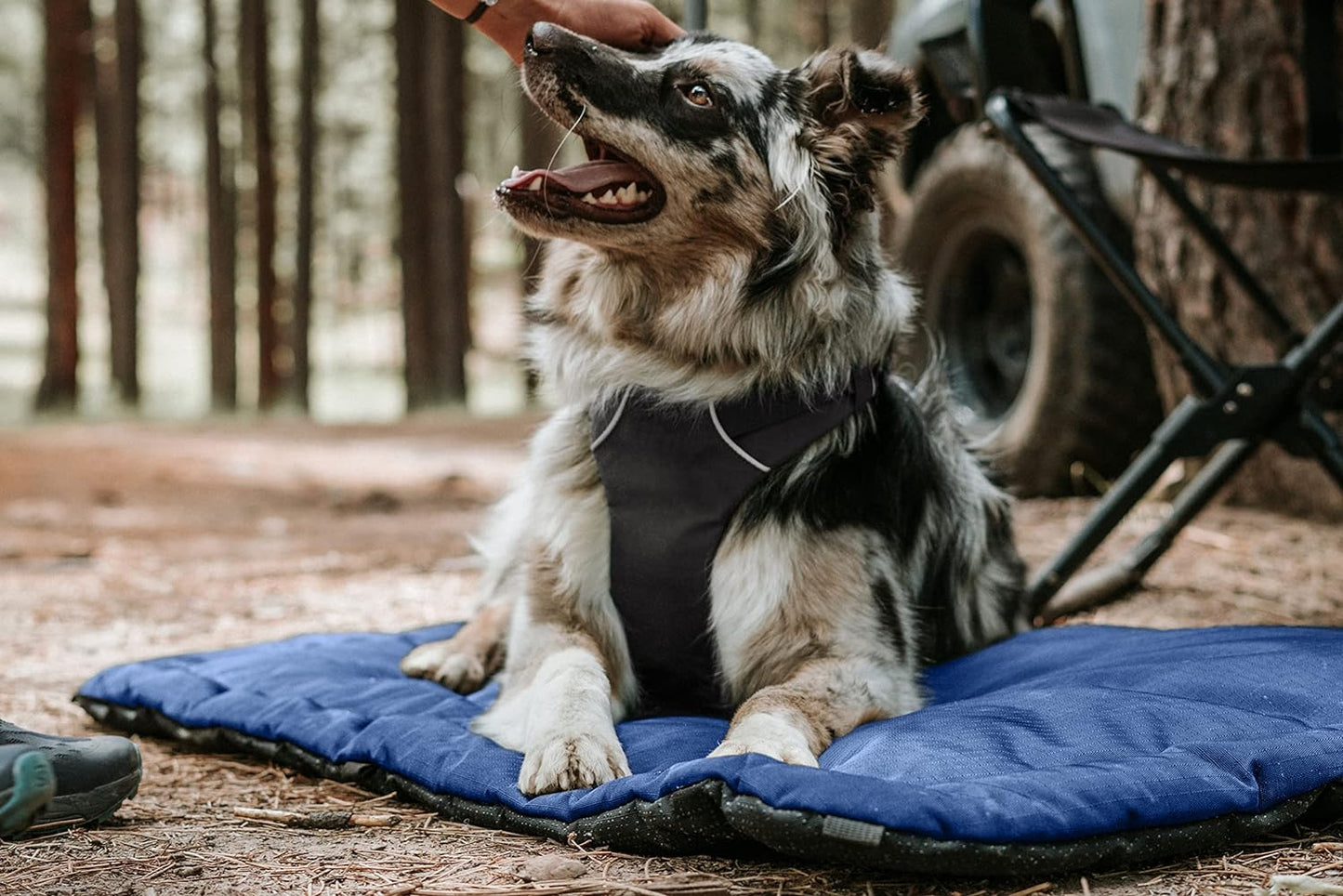K9 Ballistics Tough Ripstop Dog Crate Pad - Durable & Machine Washable with Non-Skid Bottom and 120-Day Warranty, Fits 42" Wire Crates - Large, Sandstone