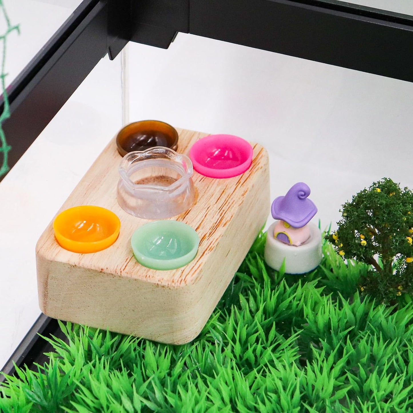 Jumping Spider Accessories, Plastic Feeding Bowl Set with Wooden Base for Food and Water, Mini Bowls, Jumping Spider Feeding Cups, Tarantula Enclosure Accessories