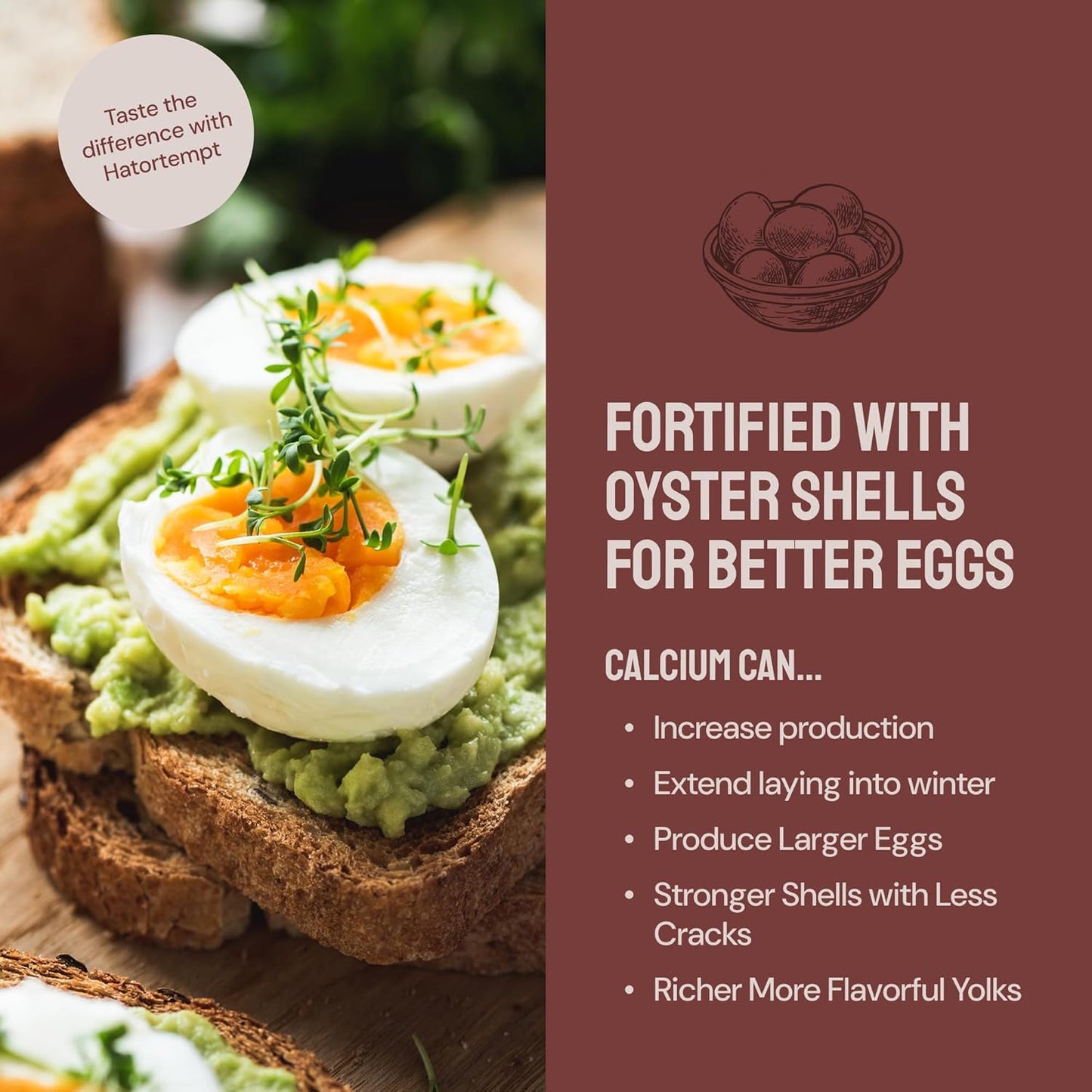 PTCOM Hatortempt 5lb Organic Chicken Feed for Laying Hens - 3 Grain Essential Blend - 5% Calcium with Oyster Shell for Chickens - Grit for Digestion - Chicken Food - Healthier Hens for Healthier Eggs