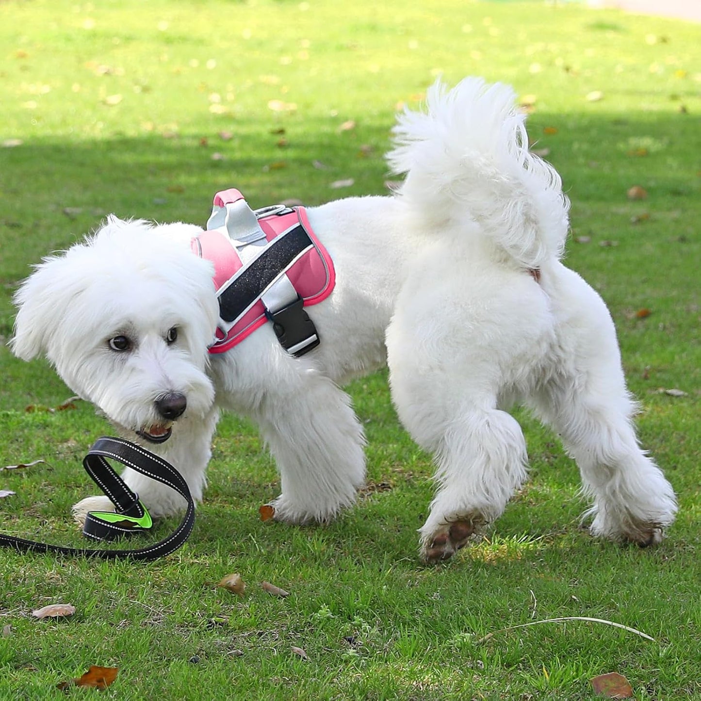 Bolux Dog Harness, No-Pull Reflective Dog Vest, Breathable Adjustable Pet Harness with Handle for Outdoor Walking - No More Pulling, Tugging or Choking (Fuchsia, Small (Pack of 1))